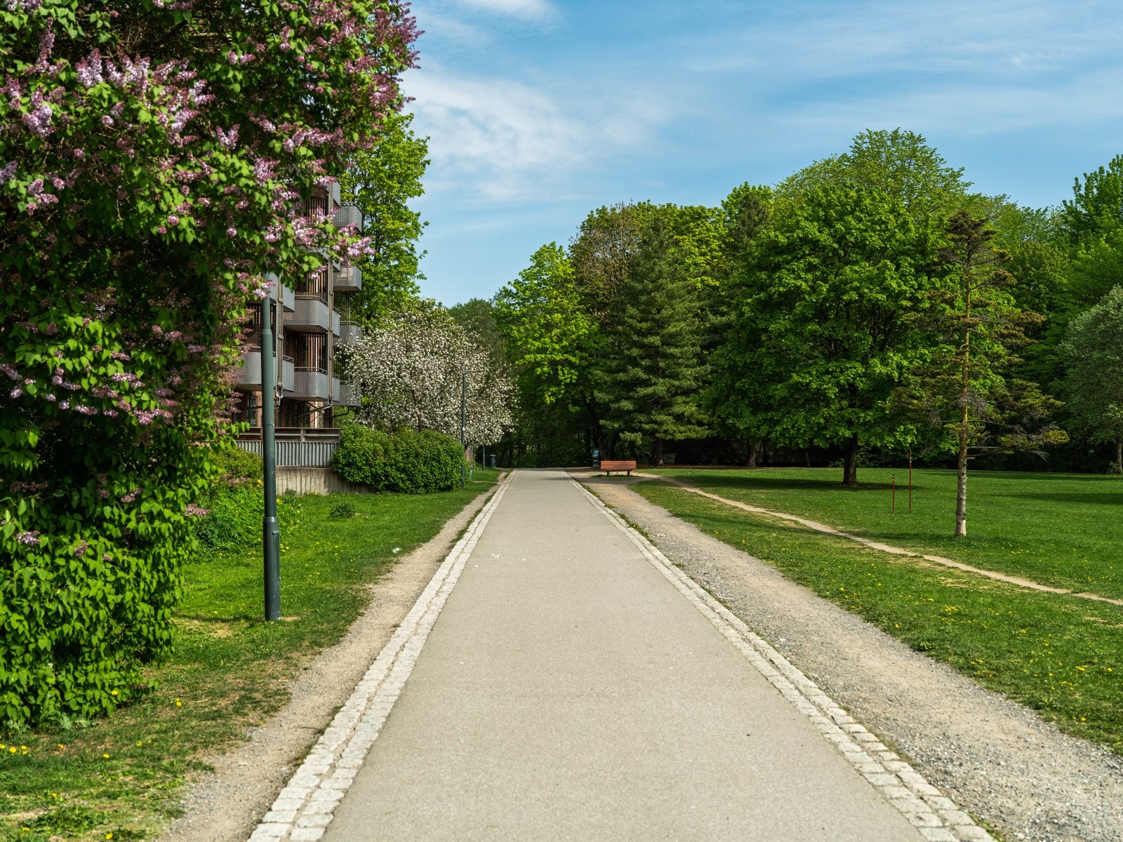 Det er flotte turmuligheter langs Akerselva, enten om du vil sørover mot sentrum eller nordover mot Maridalen. Galleribilde