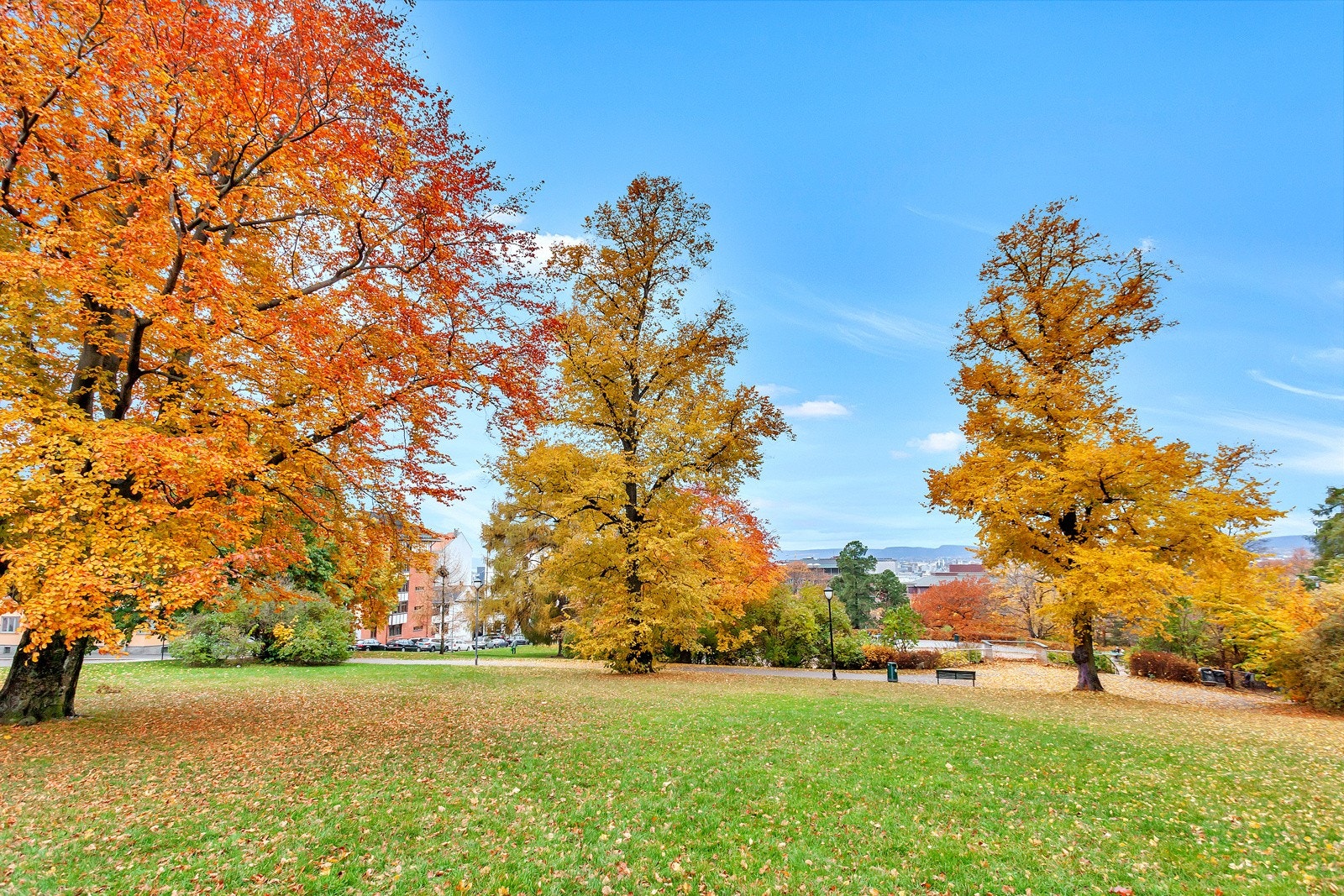 Nærområde - Kampen park. Galleribilde