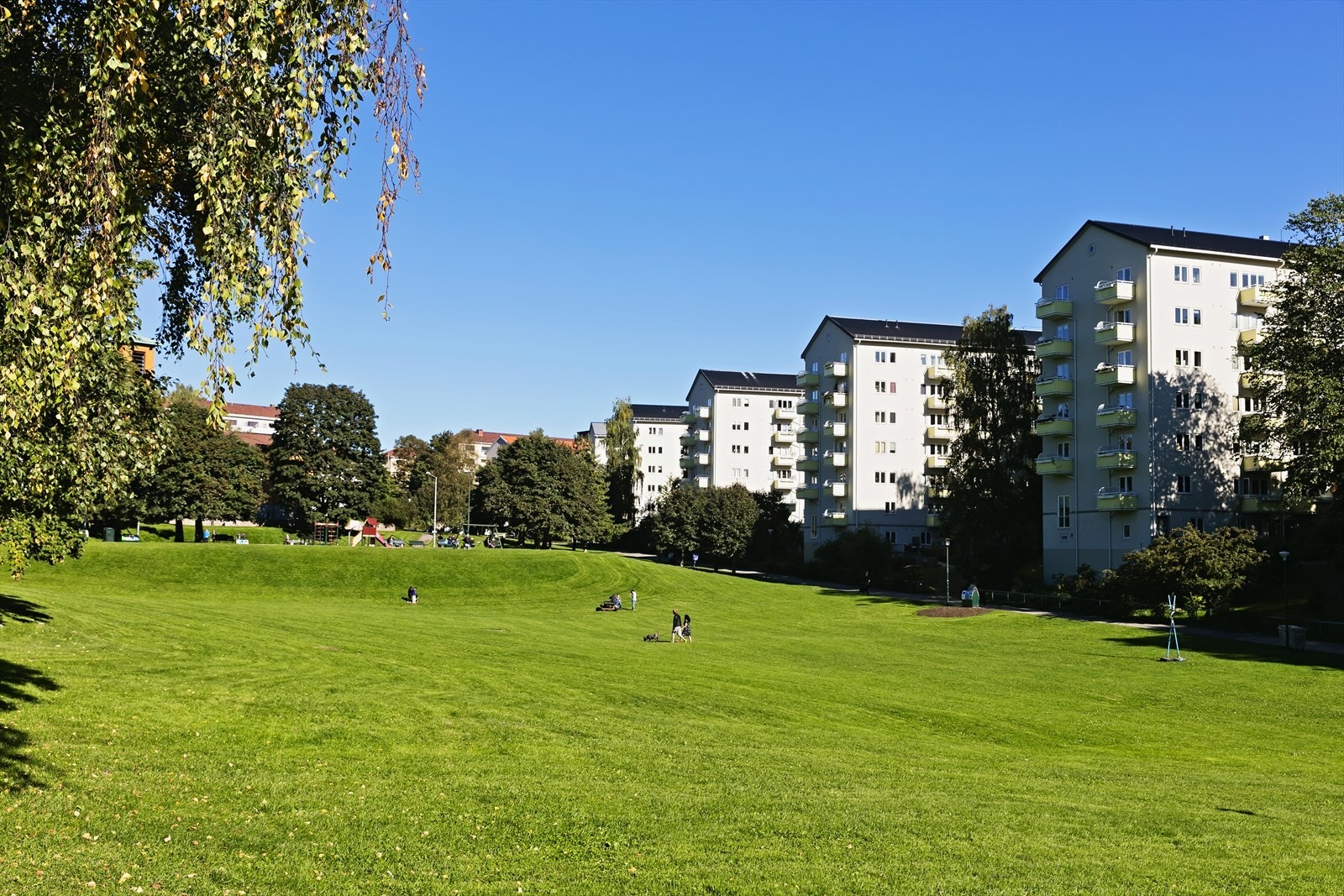 Områdebilde. Galleribilde