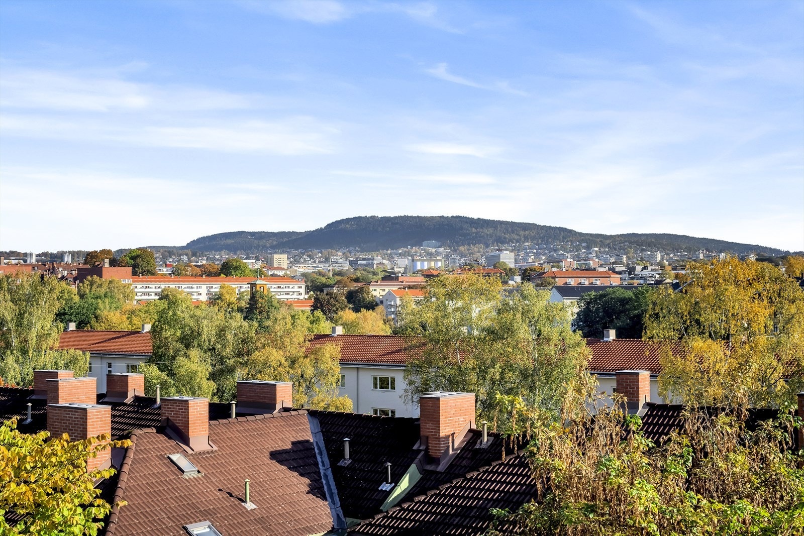 Høy, fritt og skjermet - ingen innsyn eller gjenboere. Galleribilde