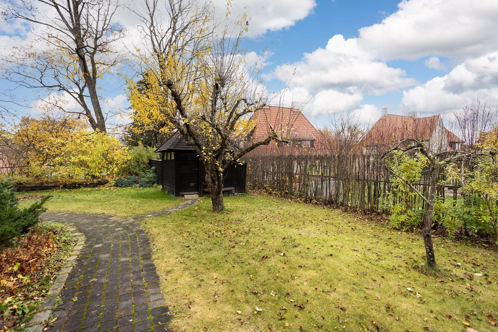 Det er flere epletrær i hagen. Romslig utebod i bakgrunnen. Galleribilde