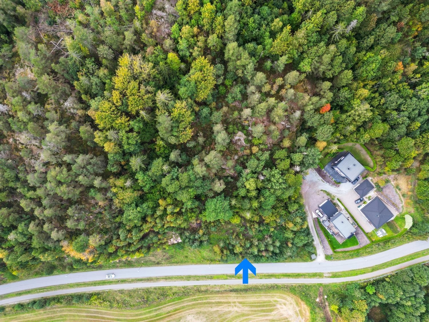 Oversiktsbilde over tomta Galleribilde