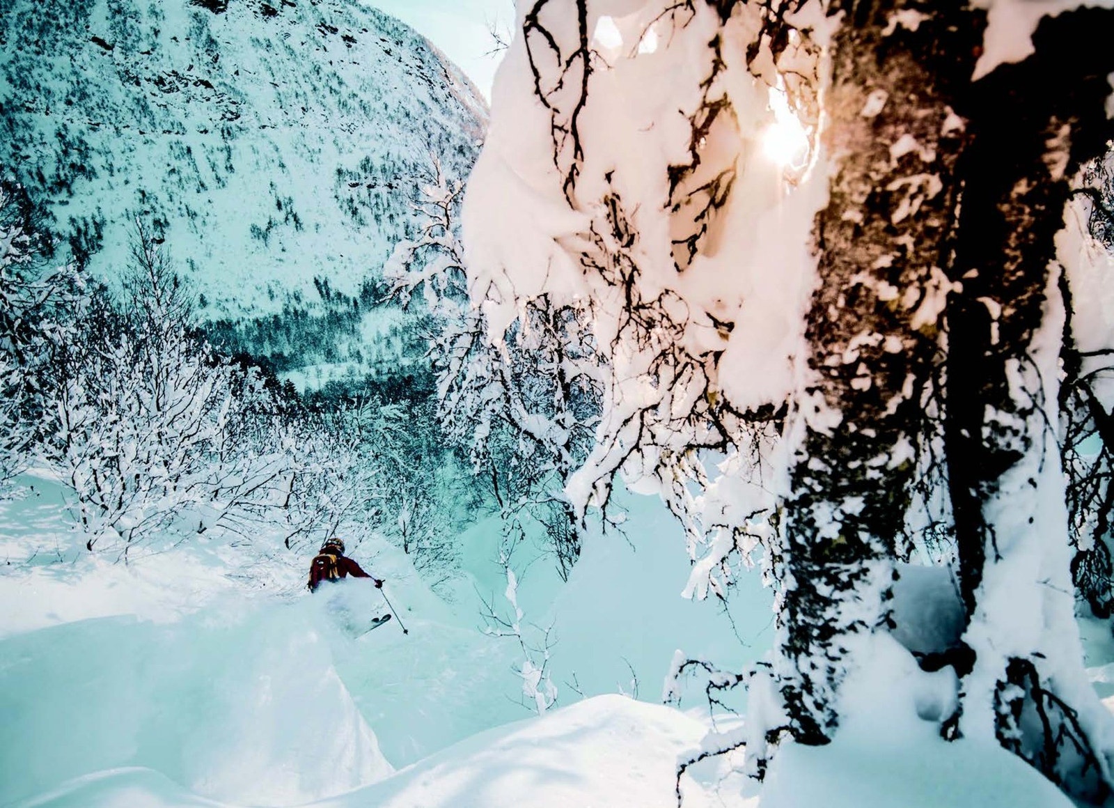 Pudderalarm! Galleribilde