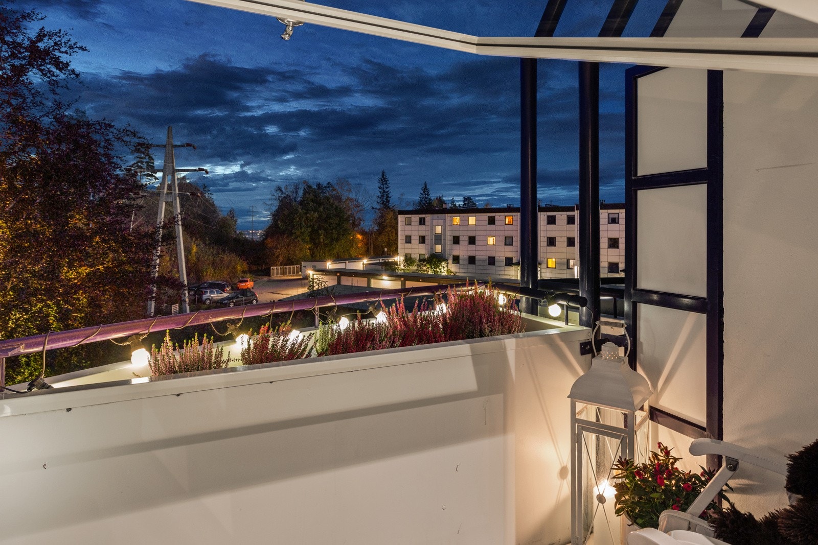 Kveldsstemning. Galleribilde