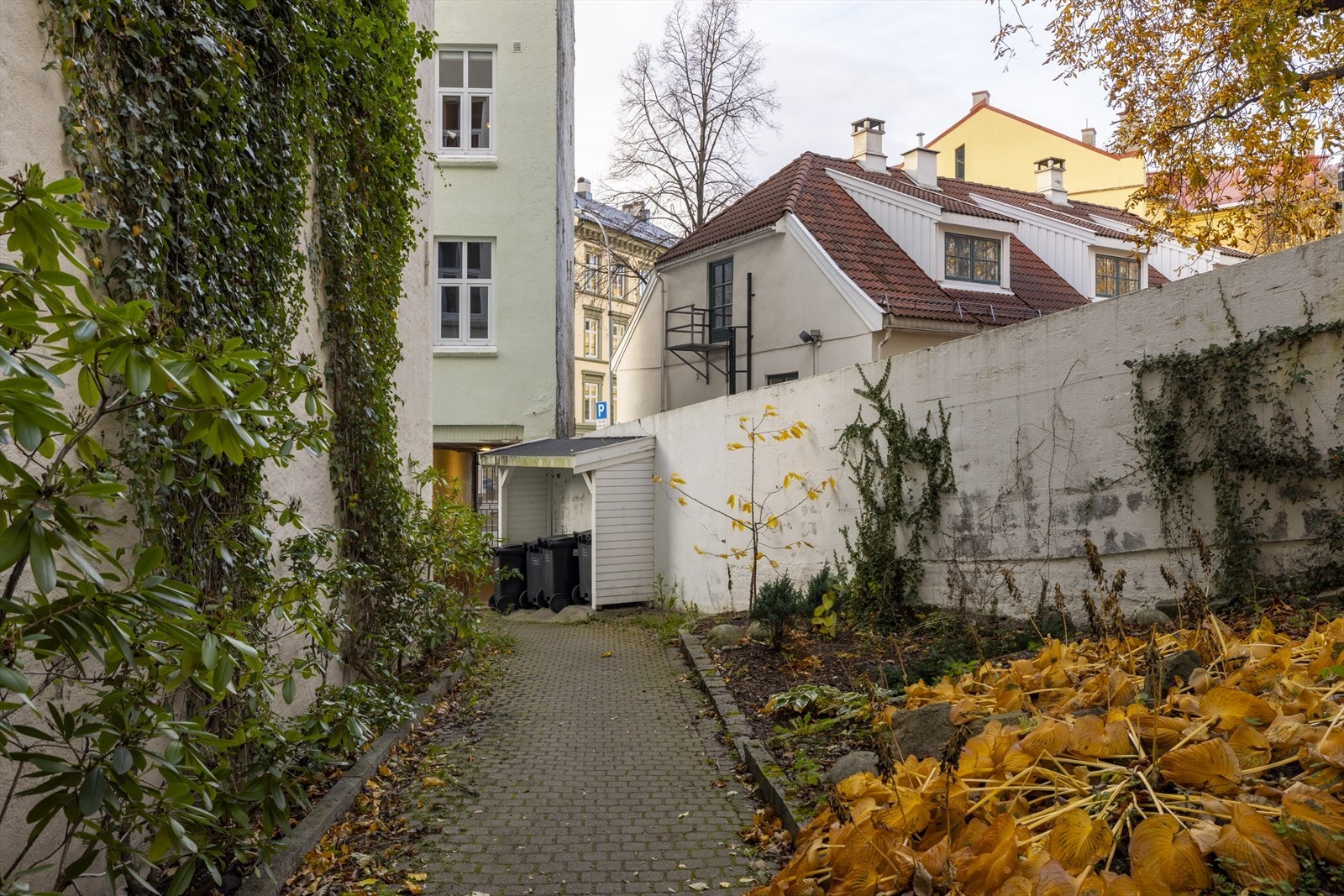 Bakgården blomstrer fint på sommerstid med masse grønn beplantning Galleribilde