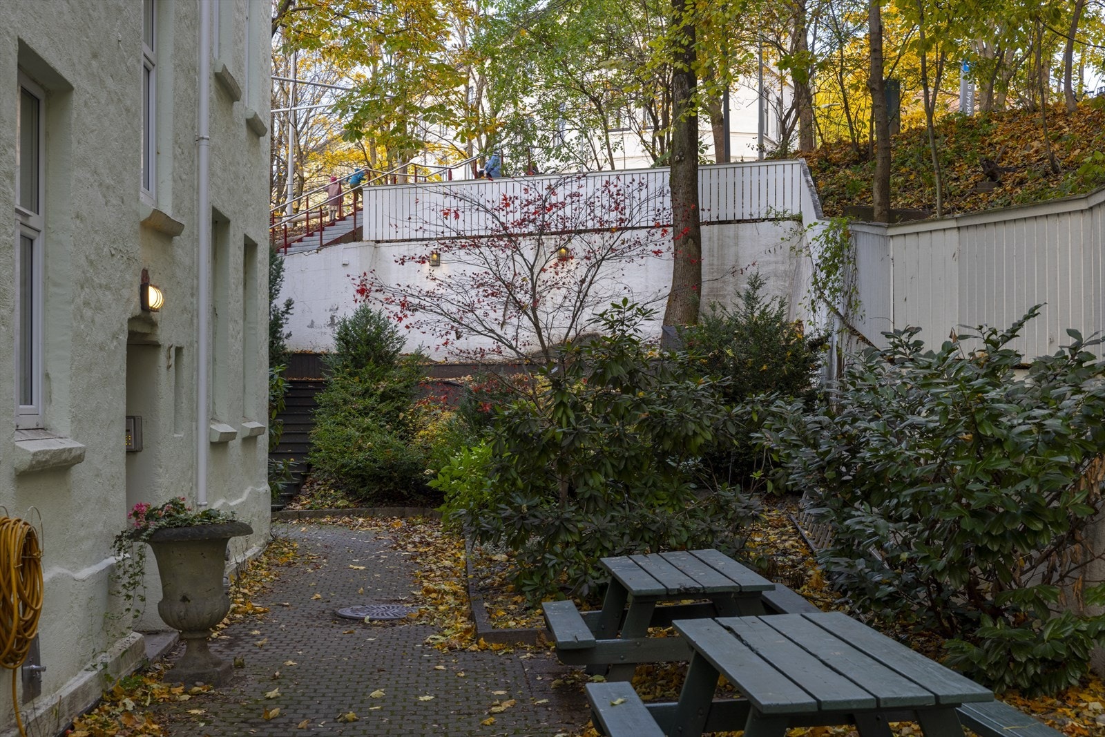 Velkommen til hyggelig visning! Galleribilde