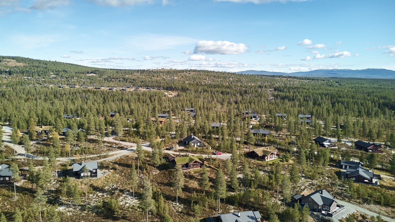 Hyttefeltet. Galleribilde