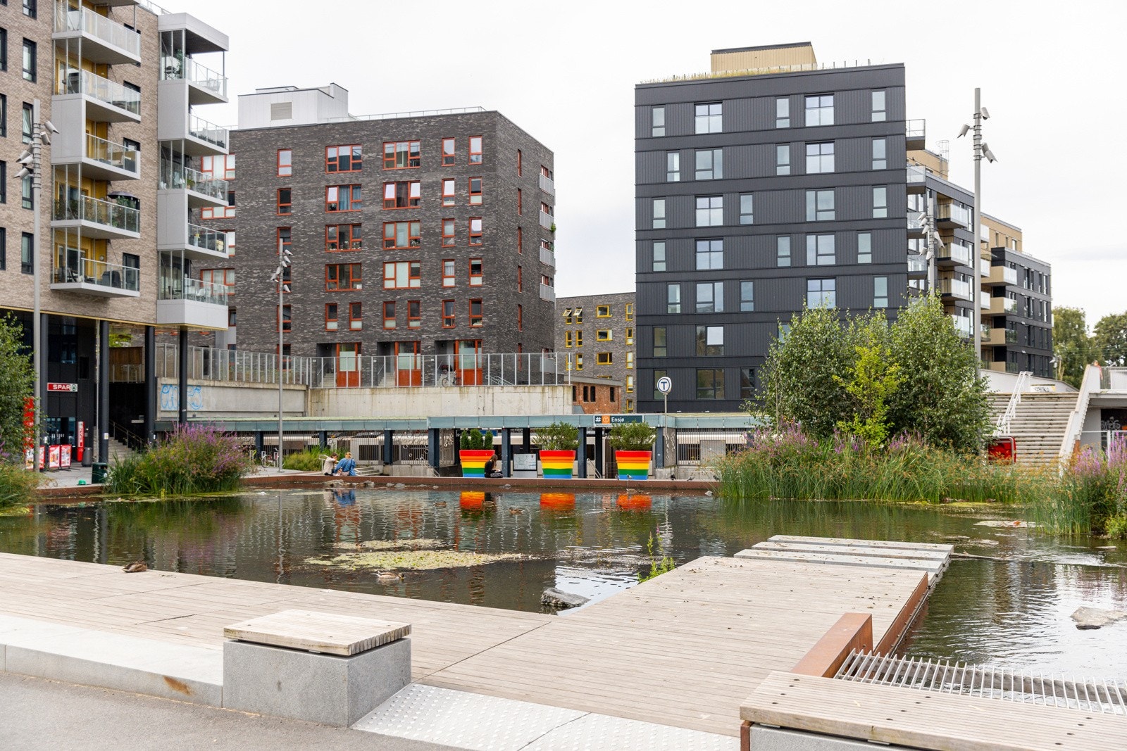 Områdebilde. Galleribilde