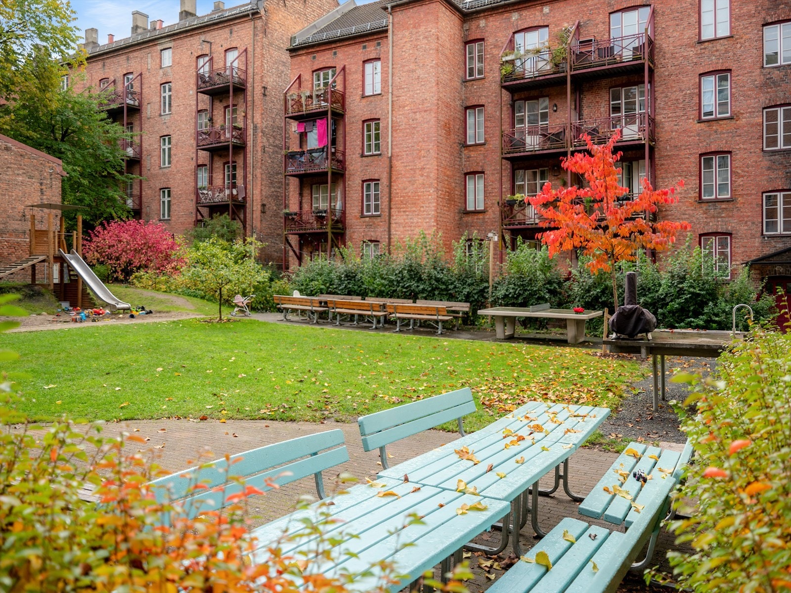 Bakgården er en stor del av livet i Tøyenhagen og det gode naboskapet er kjent for å være helt unikt. Galleribilde
