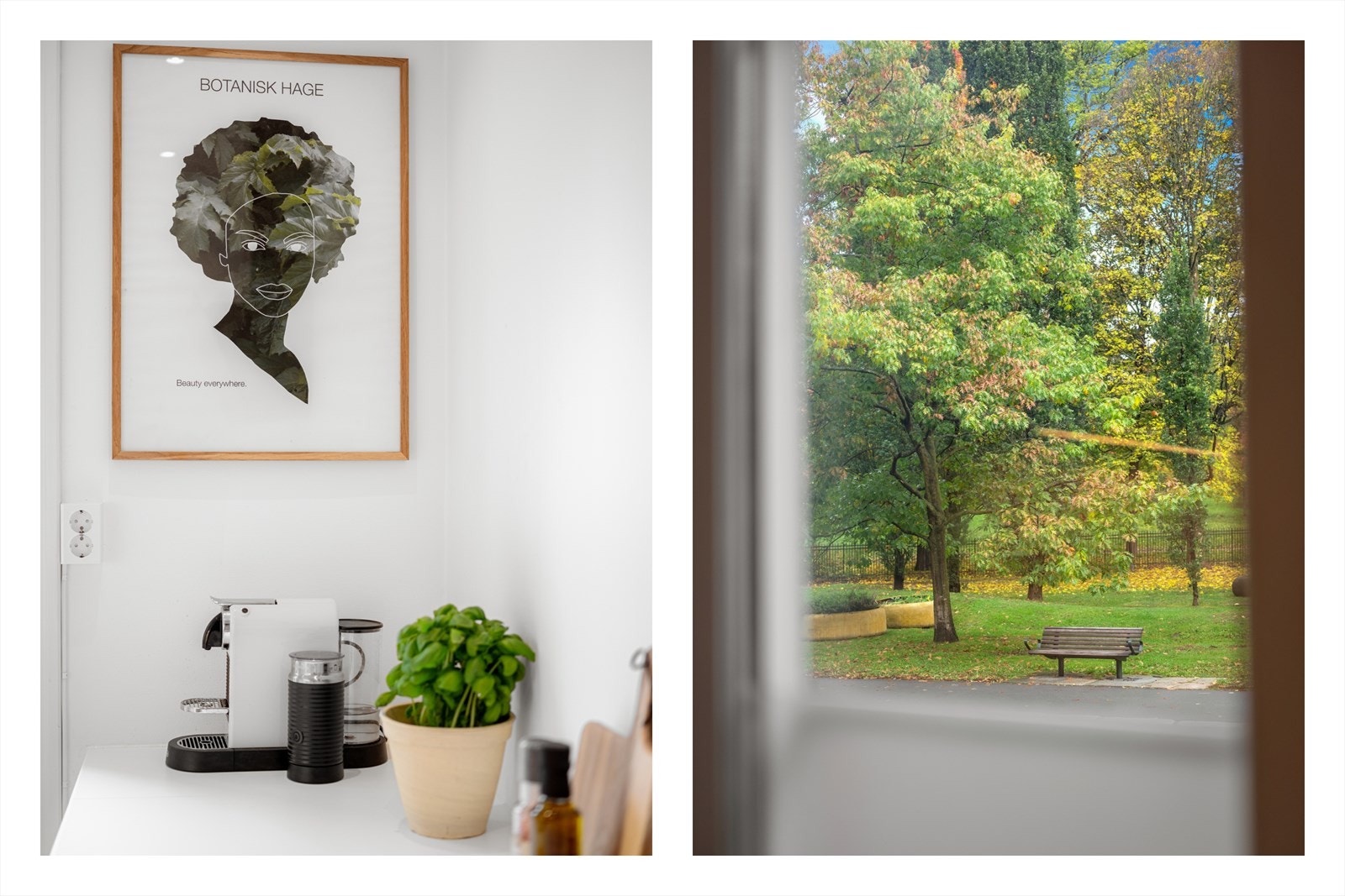 Flott utsikt mot Botanisk Hage. Galleribilde