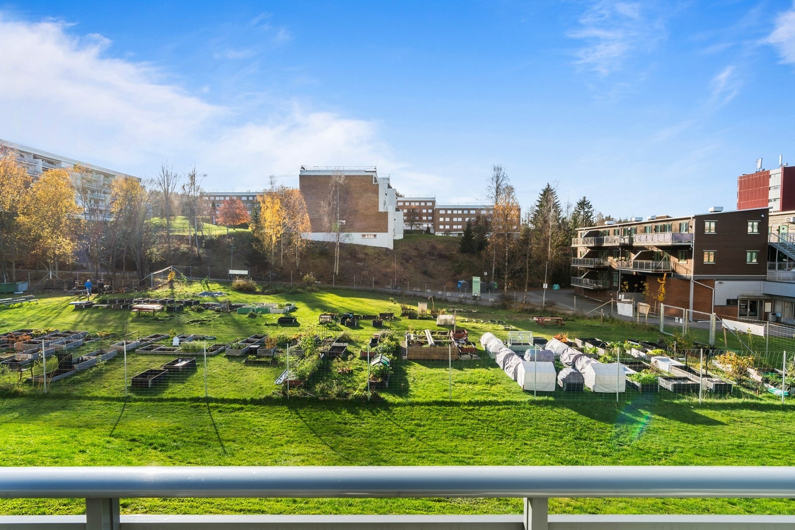 Parsellhage - Blystadliahagen. Her kan man leie plass for å dyrke ulike grønnsaker/planter. Galleribilde