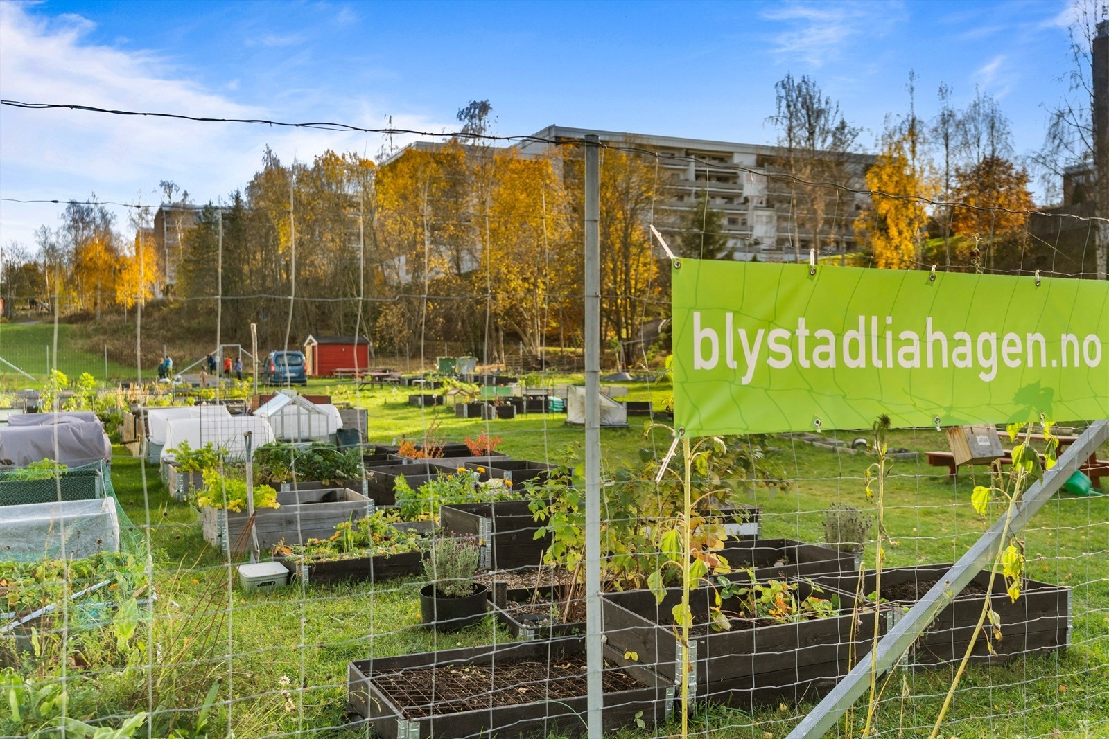 Muligheter for å leie parsellhage rett utenfor blokka. Galleribilde