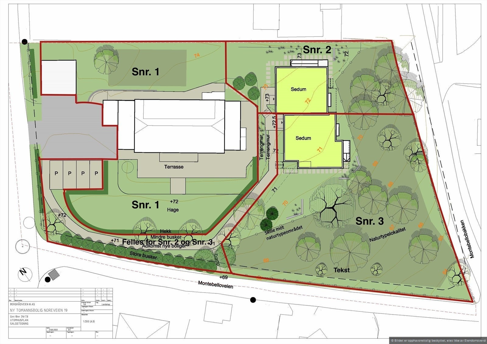 Utomhusplan. Galleribilde