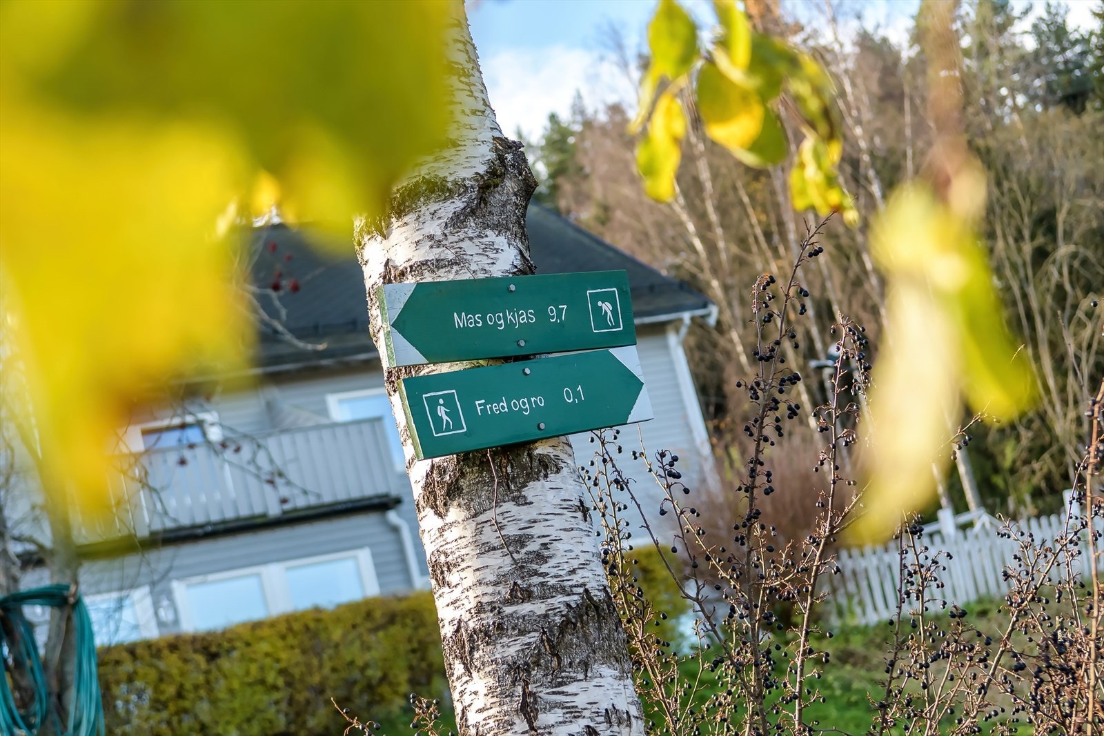 En times spasertur inn i Østmarka fra Ellingsrud, langs Elvåga, finner du Mariholtet Sportsstue, hvor det serveres bakst, påsmurt og annen snacks. Galleribilde