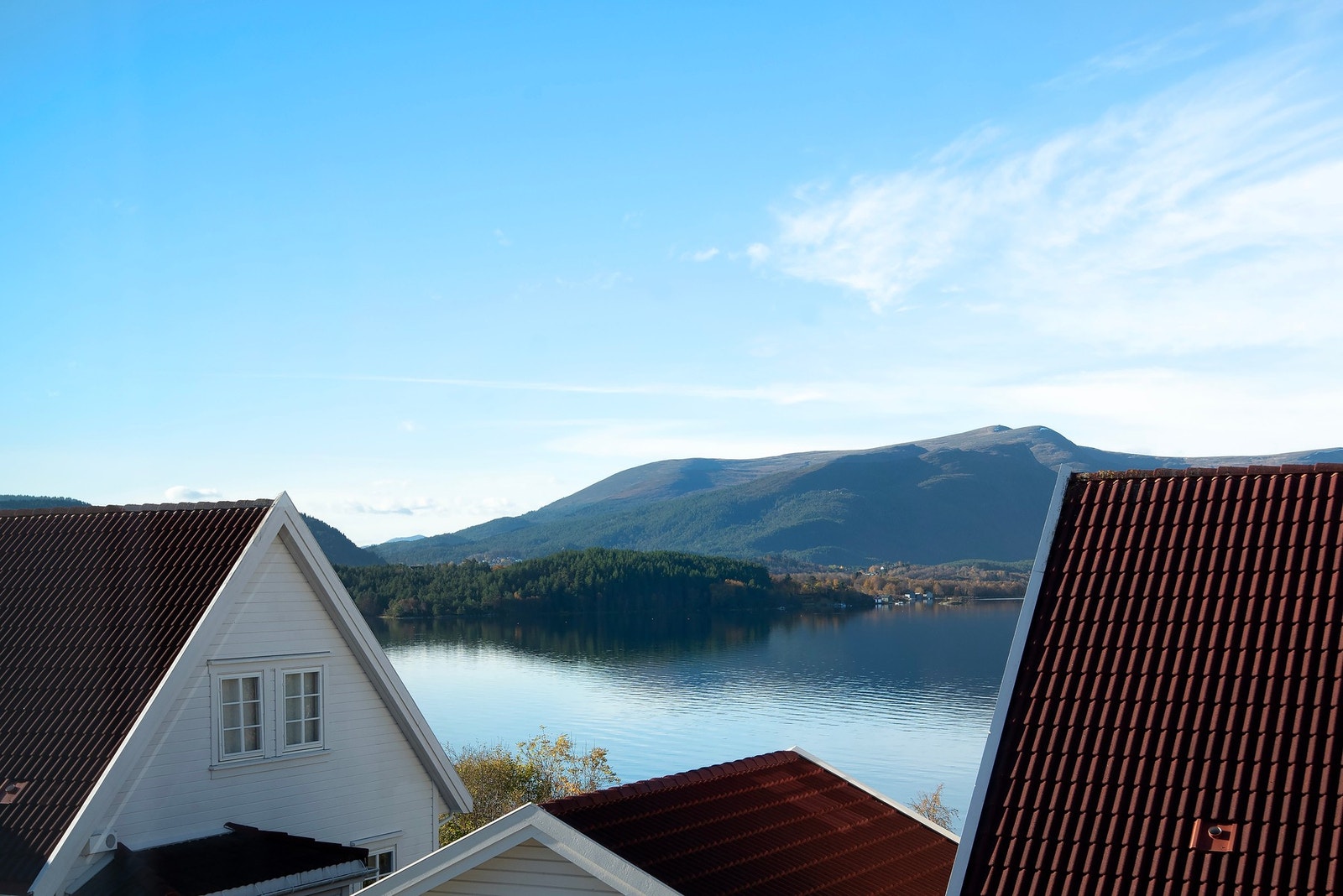Velkommen til hyggelig visning! Galleribilde