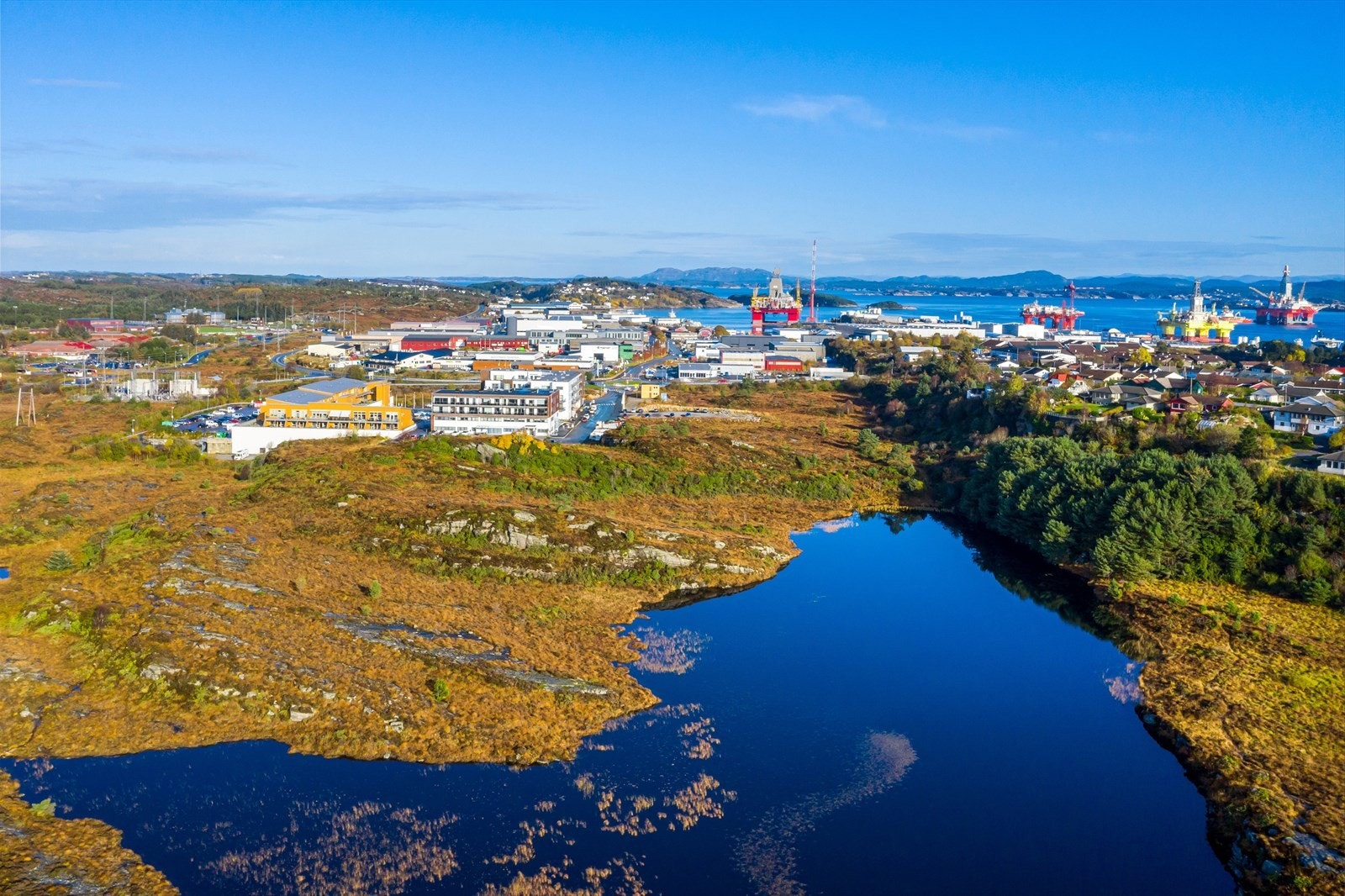 Nærområdet. Galleribilde