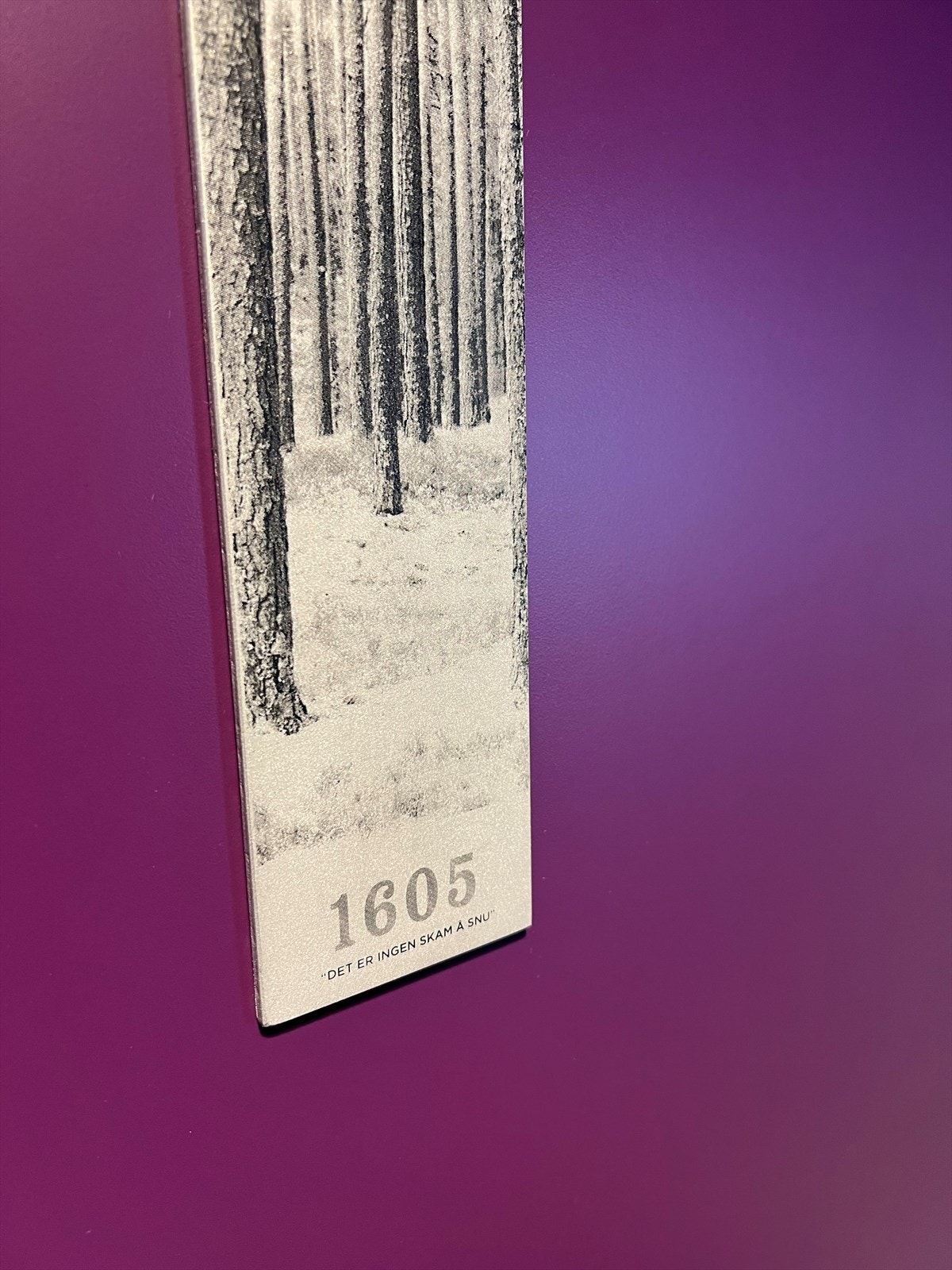 Leiligheten har da innganger til hver av de tre bo-enhetene. Som nevnt så slås disse sammen, eller separeres etter behov. Galleribilde