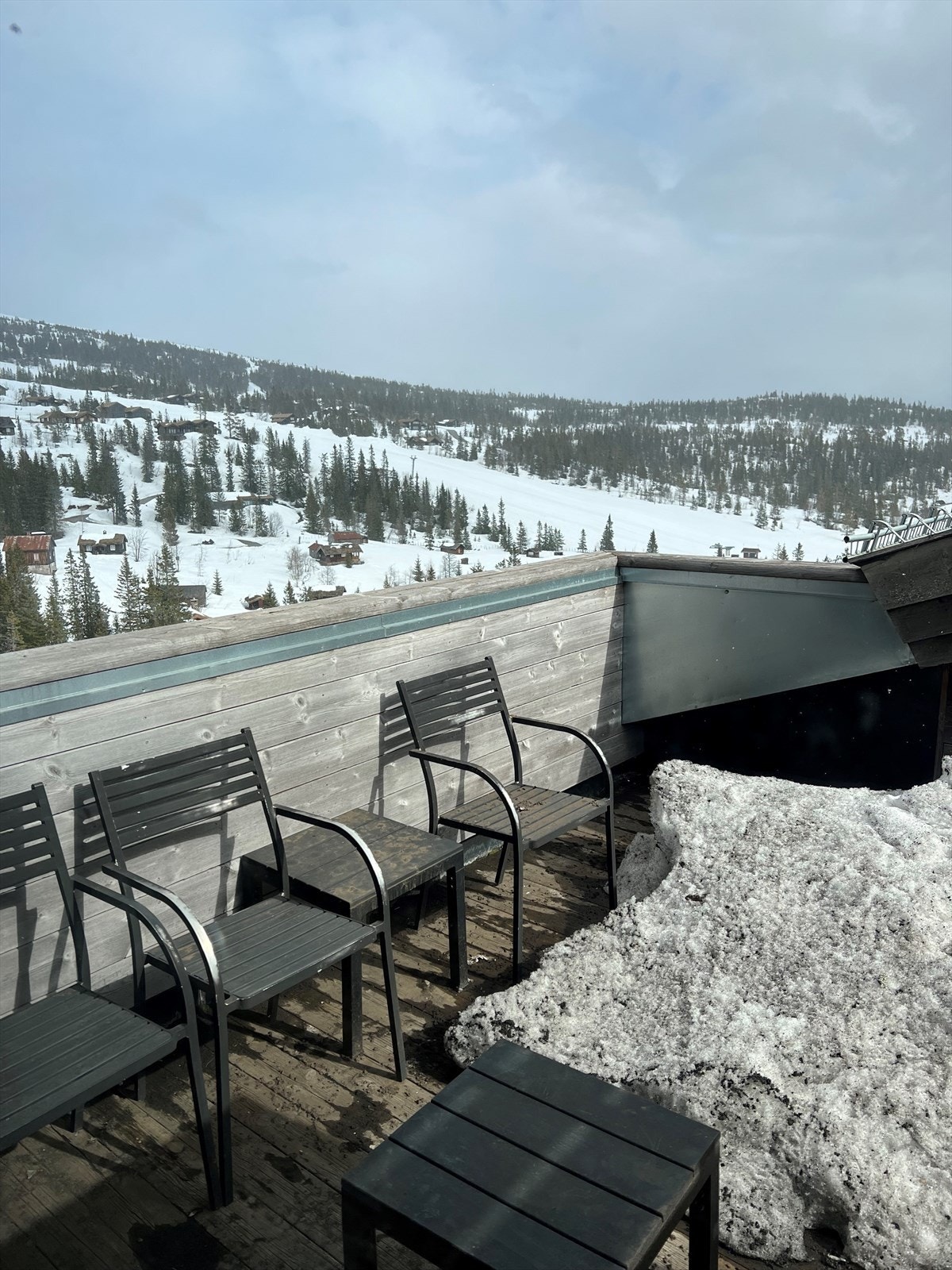 Sol også fra sydlig retning. Galleribilde