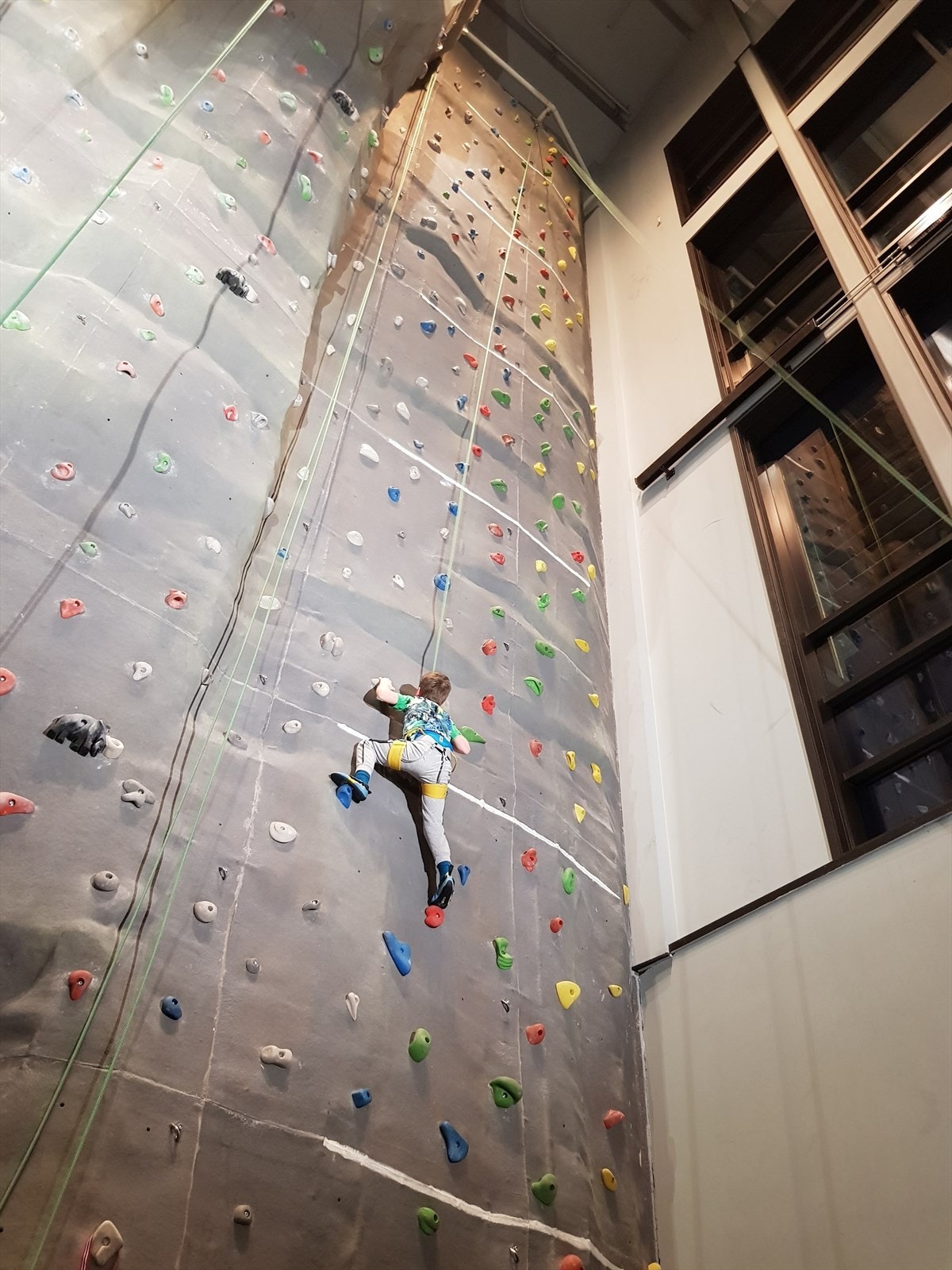 Klatrevegg i resepsjonsområde med hele 16 meters høyde. Galleribilde