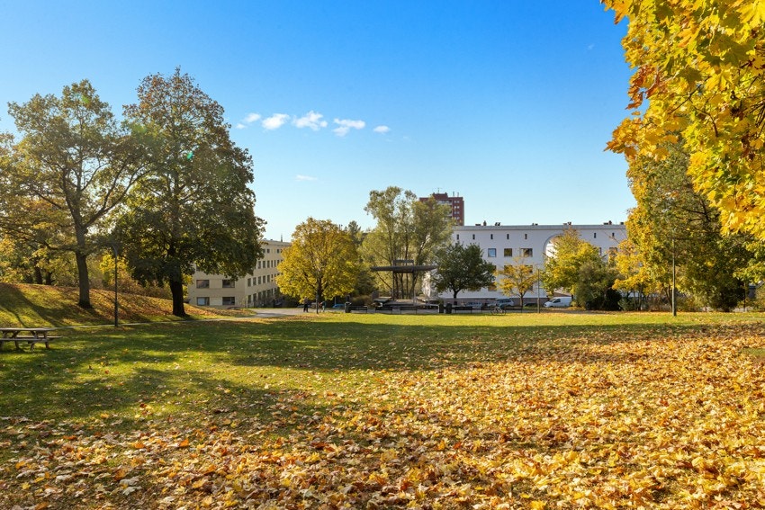 Bydelen kan by på fantastiske grøntområder som Bjølsenparken, Geitmyra skolehager og -gård, Myraløkka og Voldsløkka. Galleribilde