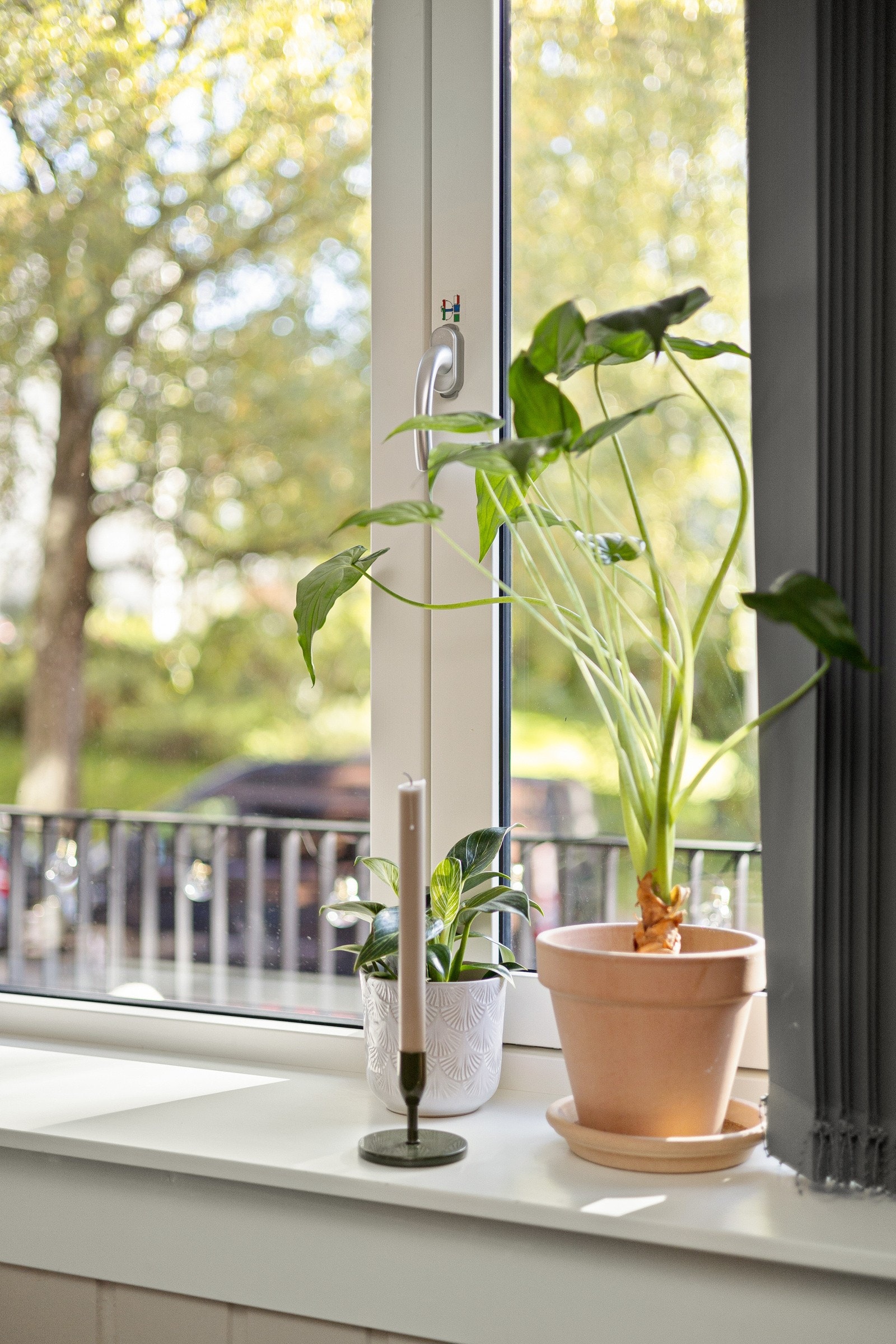 Alle vinduene i leiligheten var nye i 2018, og det er brede vinduskarmer for planter og dekor. Galleribilde