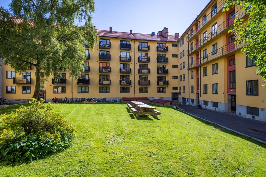 Bakgårdsbilde. Galleribilde