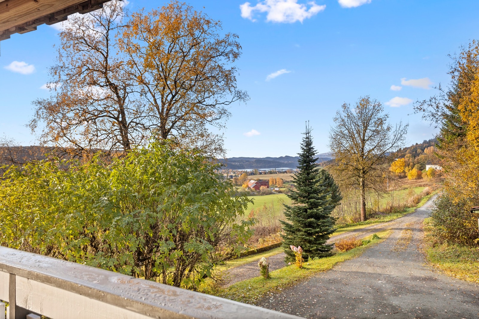 Utsikten fra terrasse. Galleribilde