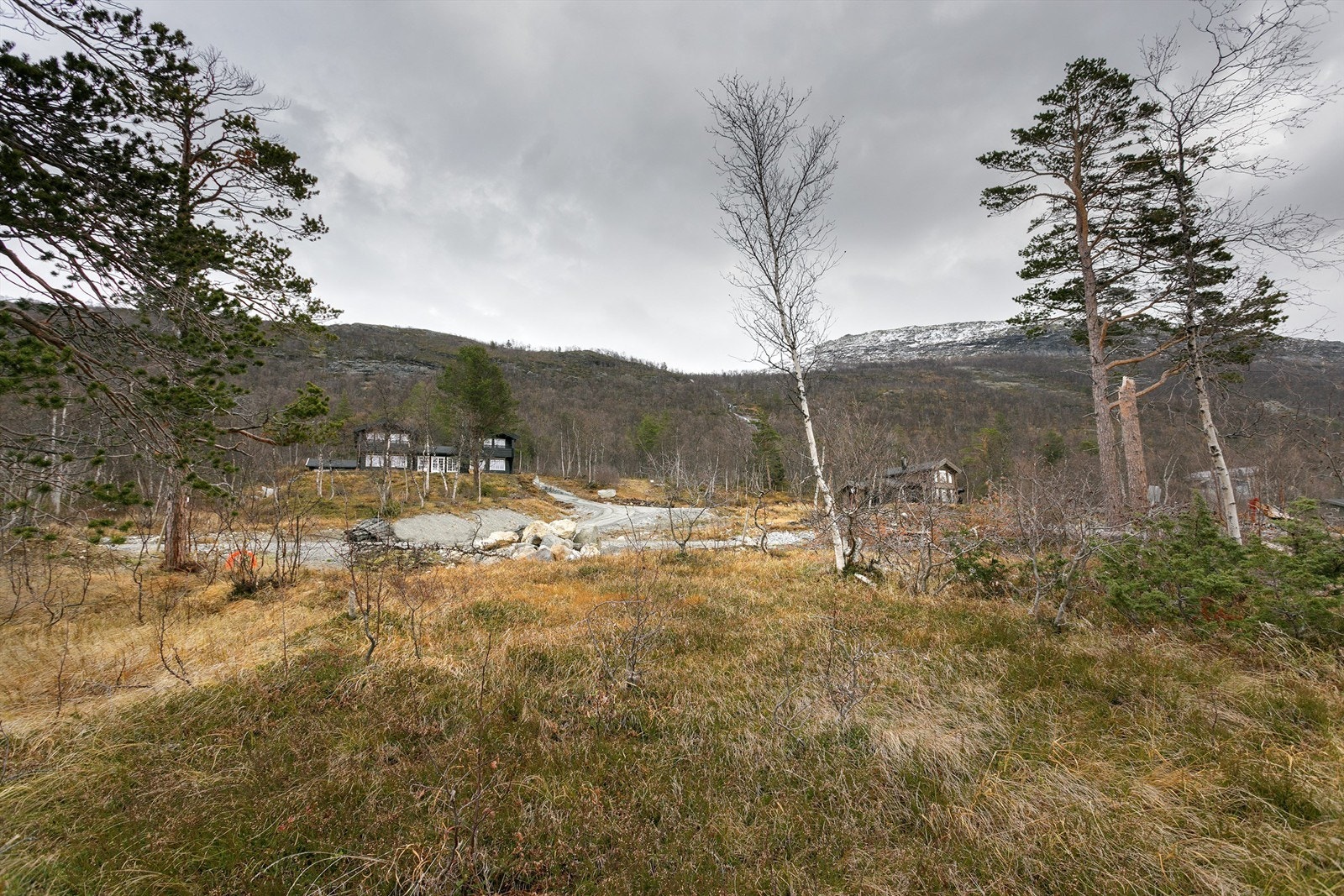 Fra tomten mot adkomstvei Galleribilde