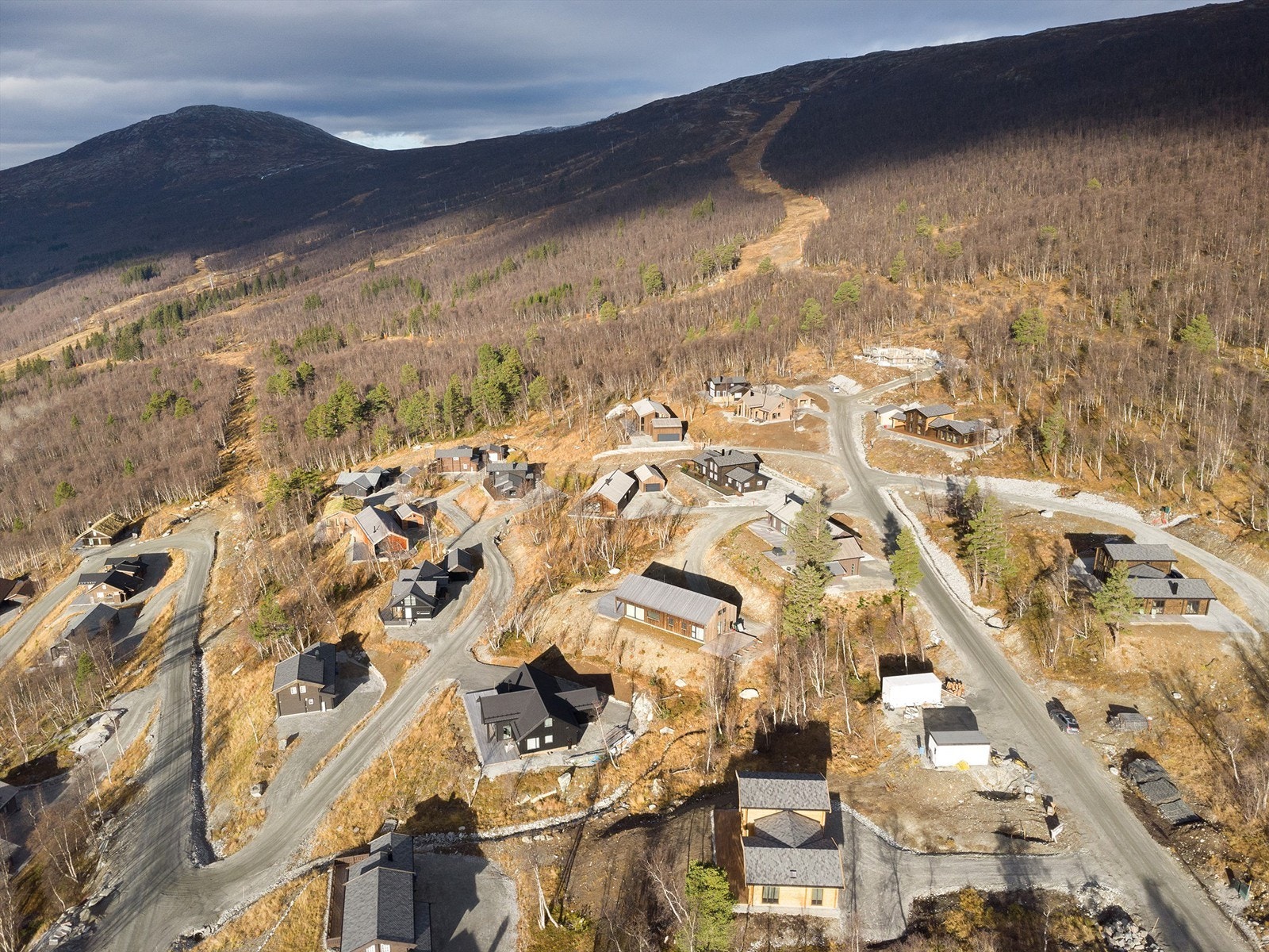 Dronebilde over tomten Galleribilde