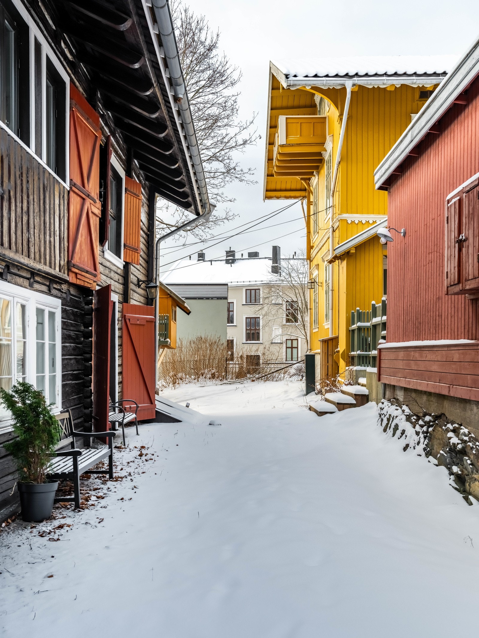 Velkommen til visning! Galleribilde