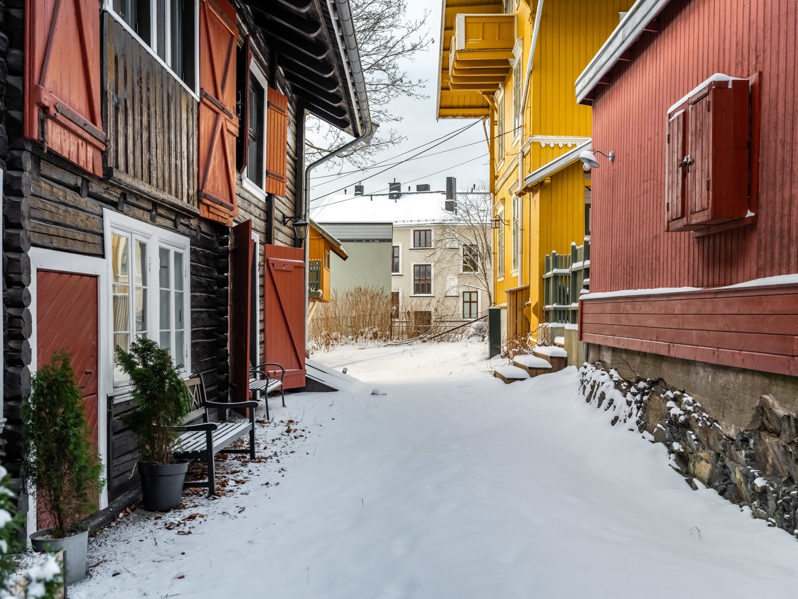 Dette er noe helt unikt, og ulikt alt annet du har sett tidligere. Galleribilde