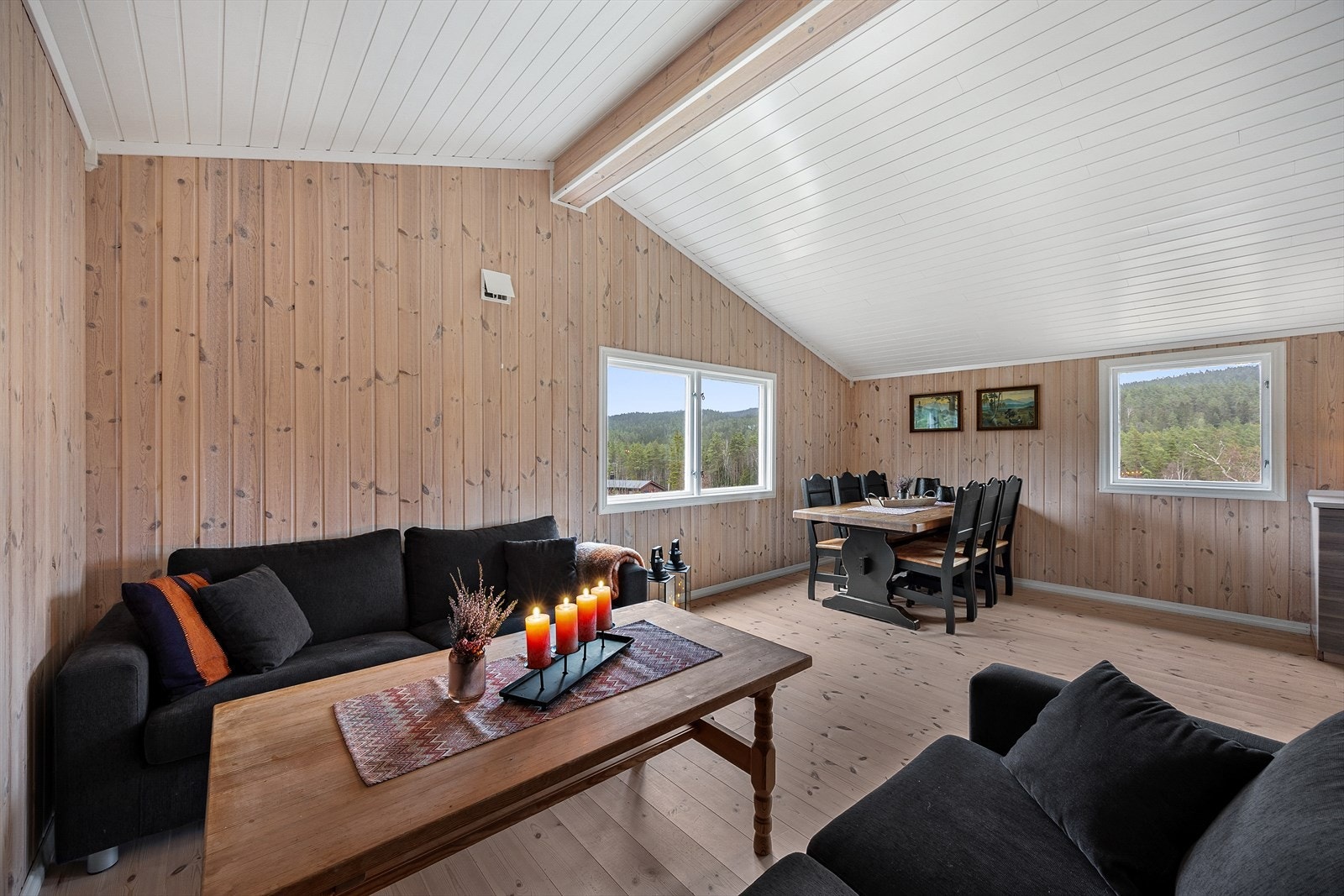 Store vindusflater og hvitmalt tak forsterker det naturlige lysinnfallet. Galleribilde