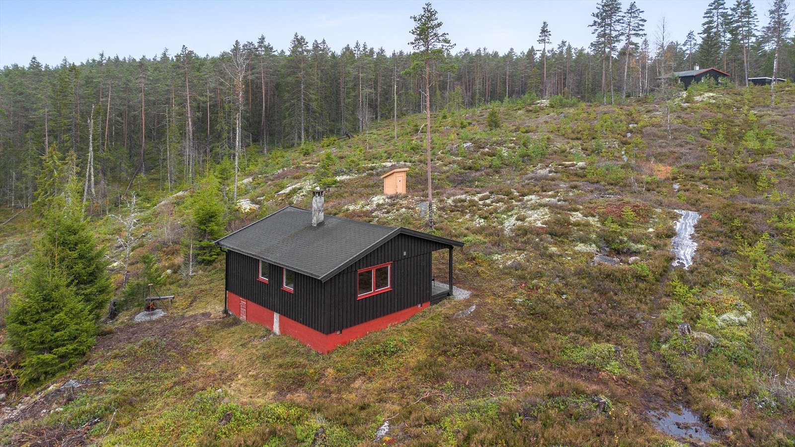 Tomten er ryddet i nyere tid og består av naturlig vegetasjon med lyng, mose og enkelte trær. Galleribilde