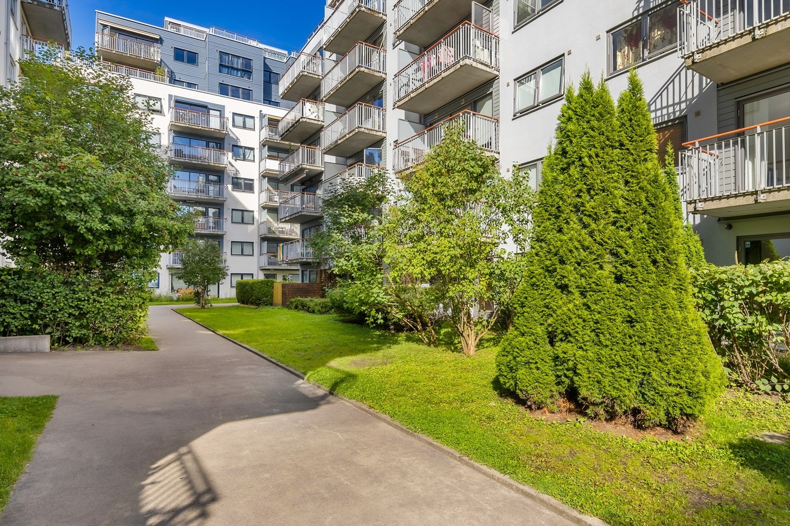 Pene fellesarealer med asfalterte gangveier, gressplen og beplantning omkranser bygget. Galleribilde