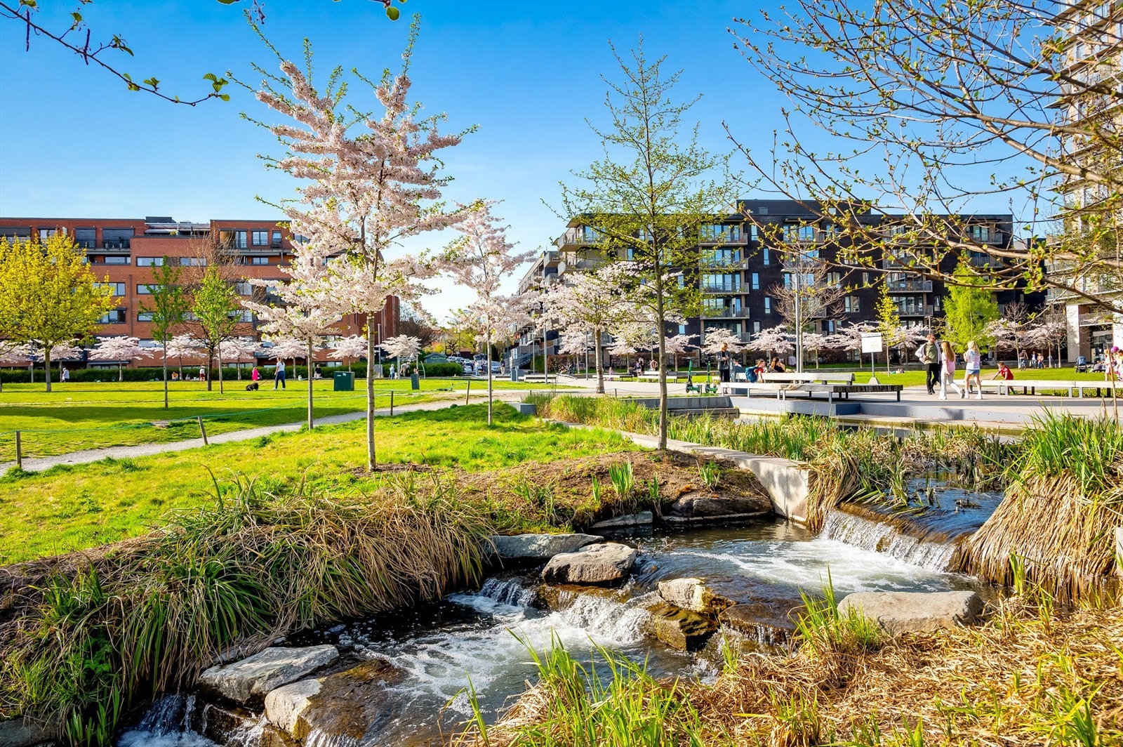 Hovinbekken starter ved Teglverksdammen og renner åpent helt til Ensjø Galleribilde