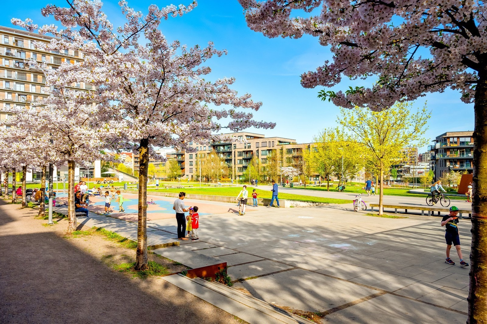 Tiedemannsparken ble i 2022 kåret til Østlandets beste uterom! Galleribilde