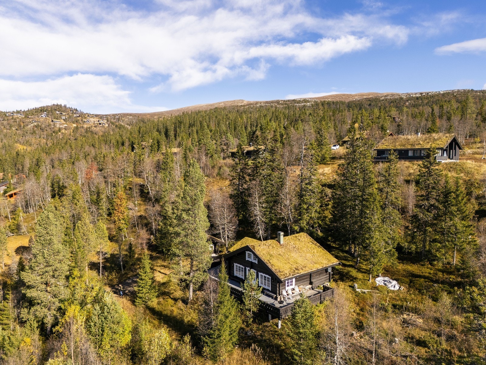 Sjarmerende tømmerhytte med flott og skjermet beliggenhet ca. 805 moh. i et populært hyttefelt på Tempelseter. Galleribilde