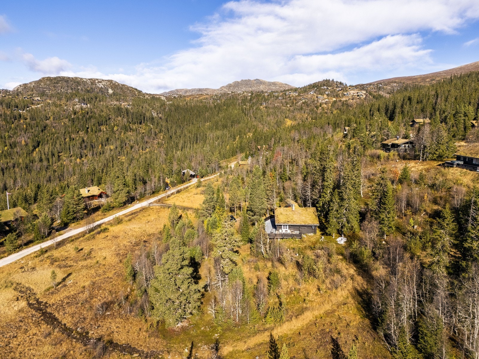 Velkommen til en hyggelig visning! Galleribilde