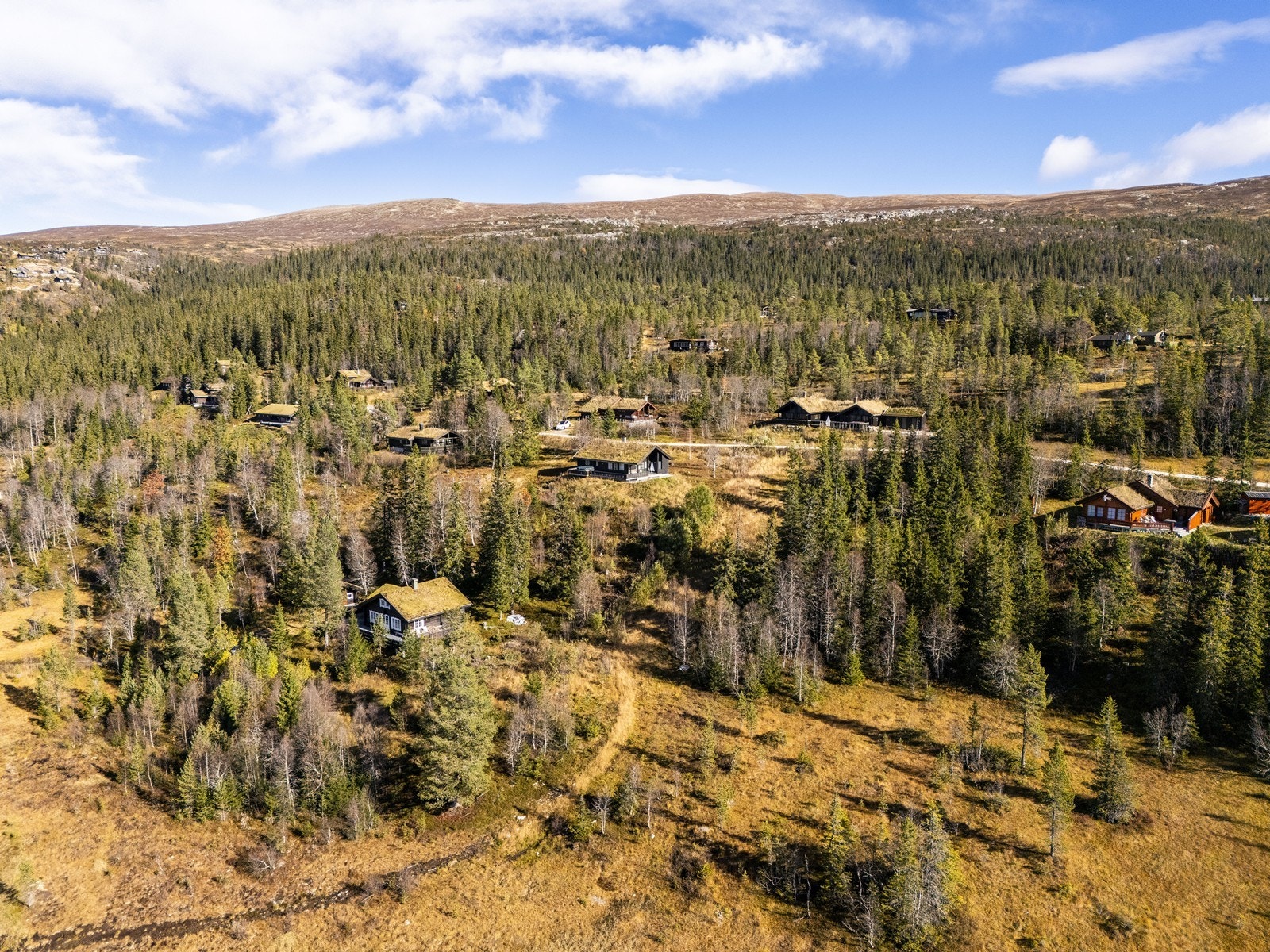Fra hytta er det nærhet til både skitrekk på Tempelseter samt Haglebu alpinanlegg og Norefjell Alpinsenter. Galleribilde