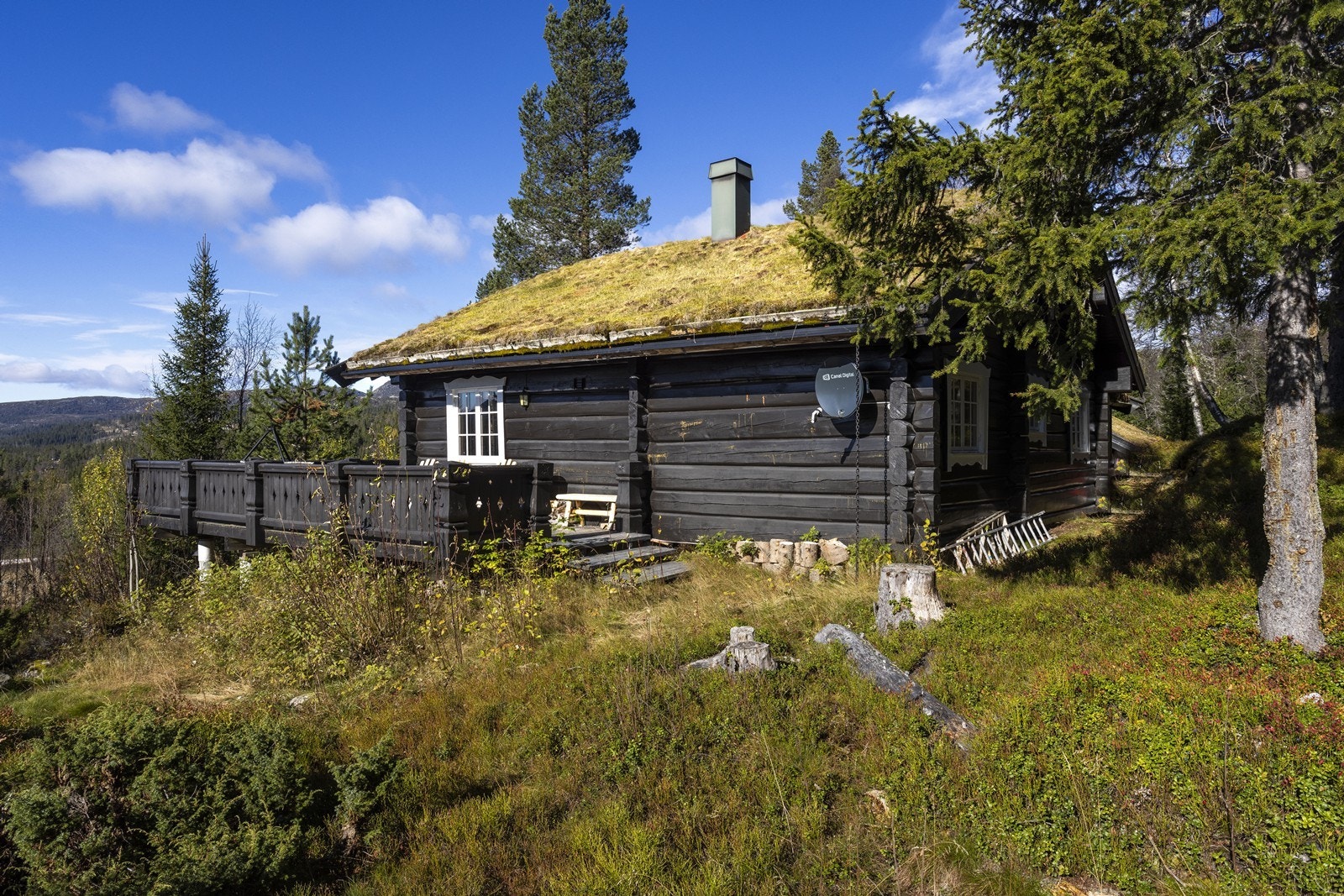 Hytta ligger i naturlige omgivelser, i svakt skrående terreng. Galleribilde