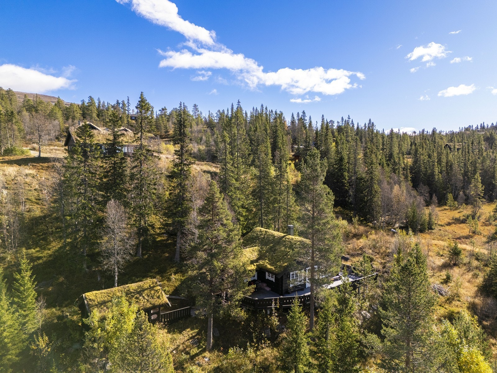 Umiddelbar nærhet til variert turterreng sommer som vinter, samt milevis av preparerte skiløyper i alle retninger og gode turmuligheter til fots. Galleribilde