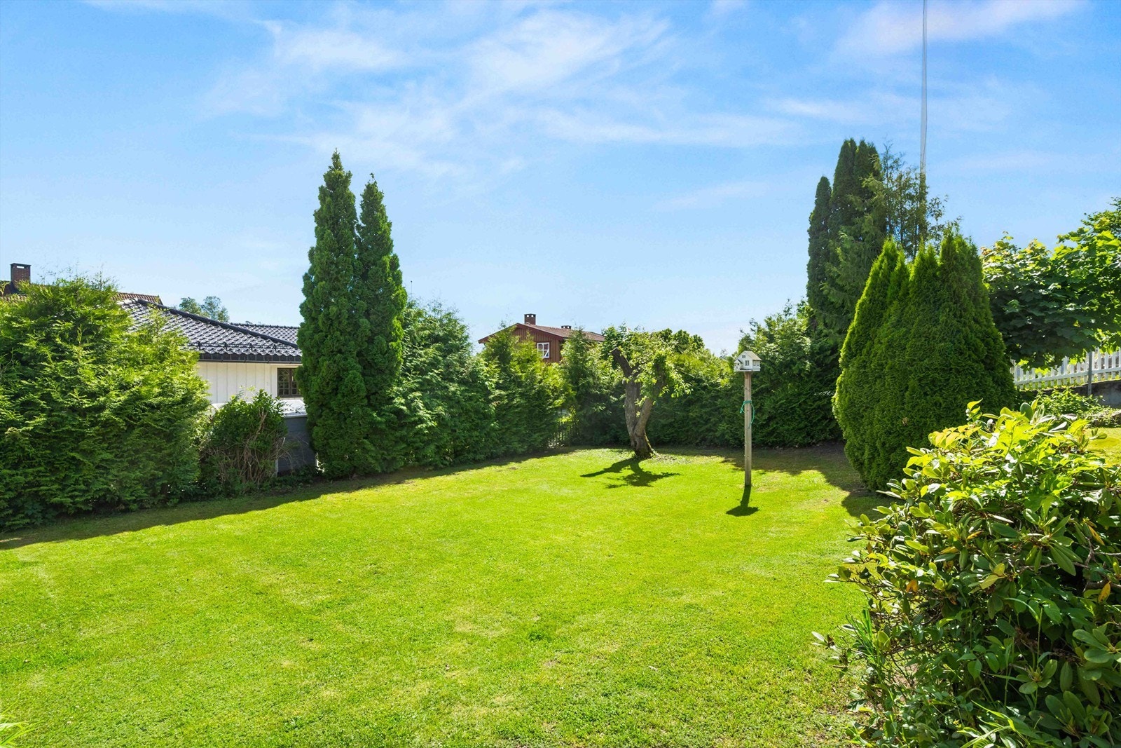 God plass til trampoline Galleribilde