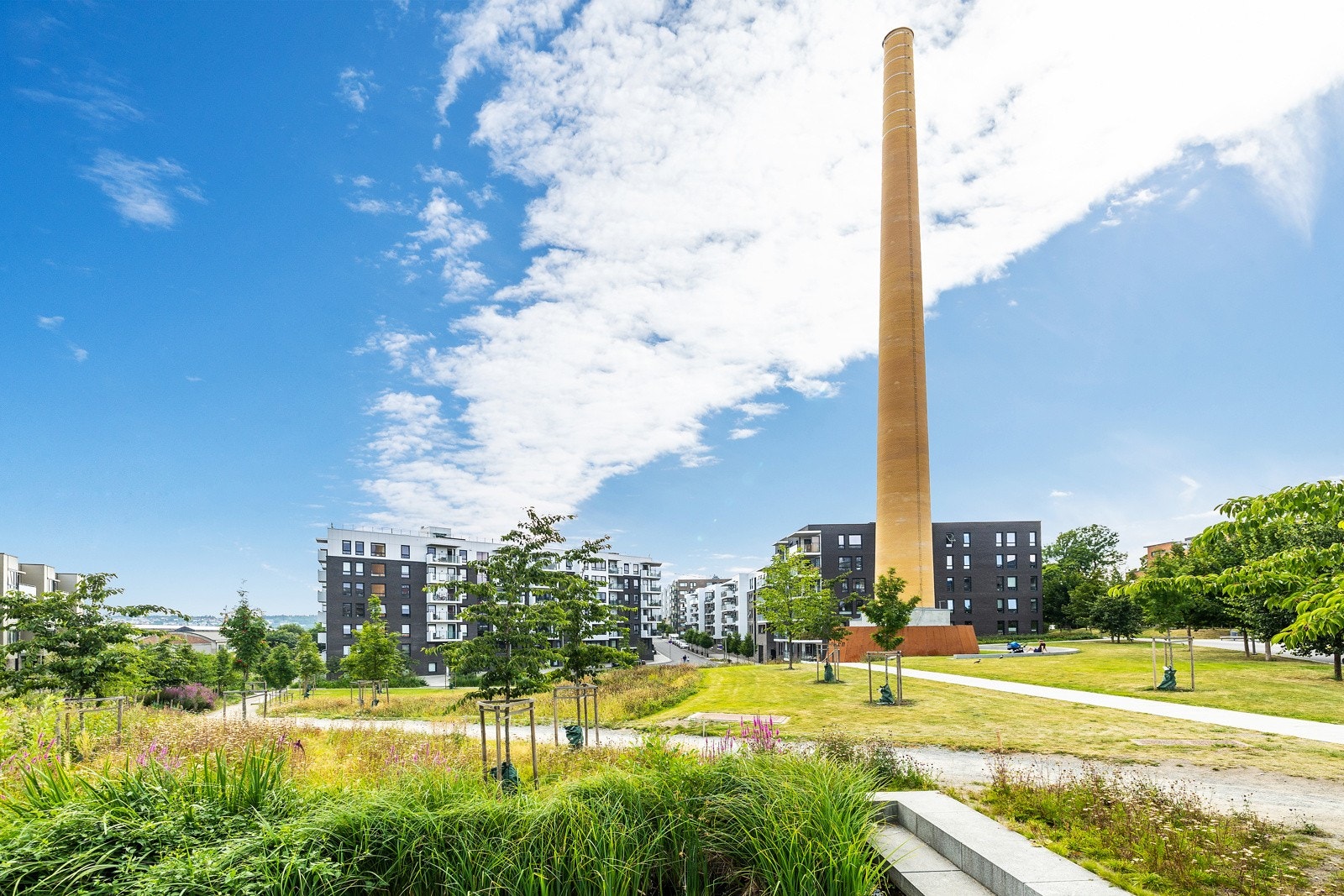 Tiedemannsparken er et fint sted for familien med stor gressplen og lekestativer. Galleribilde