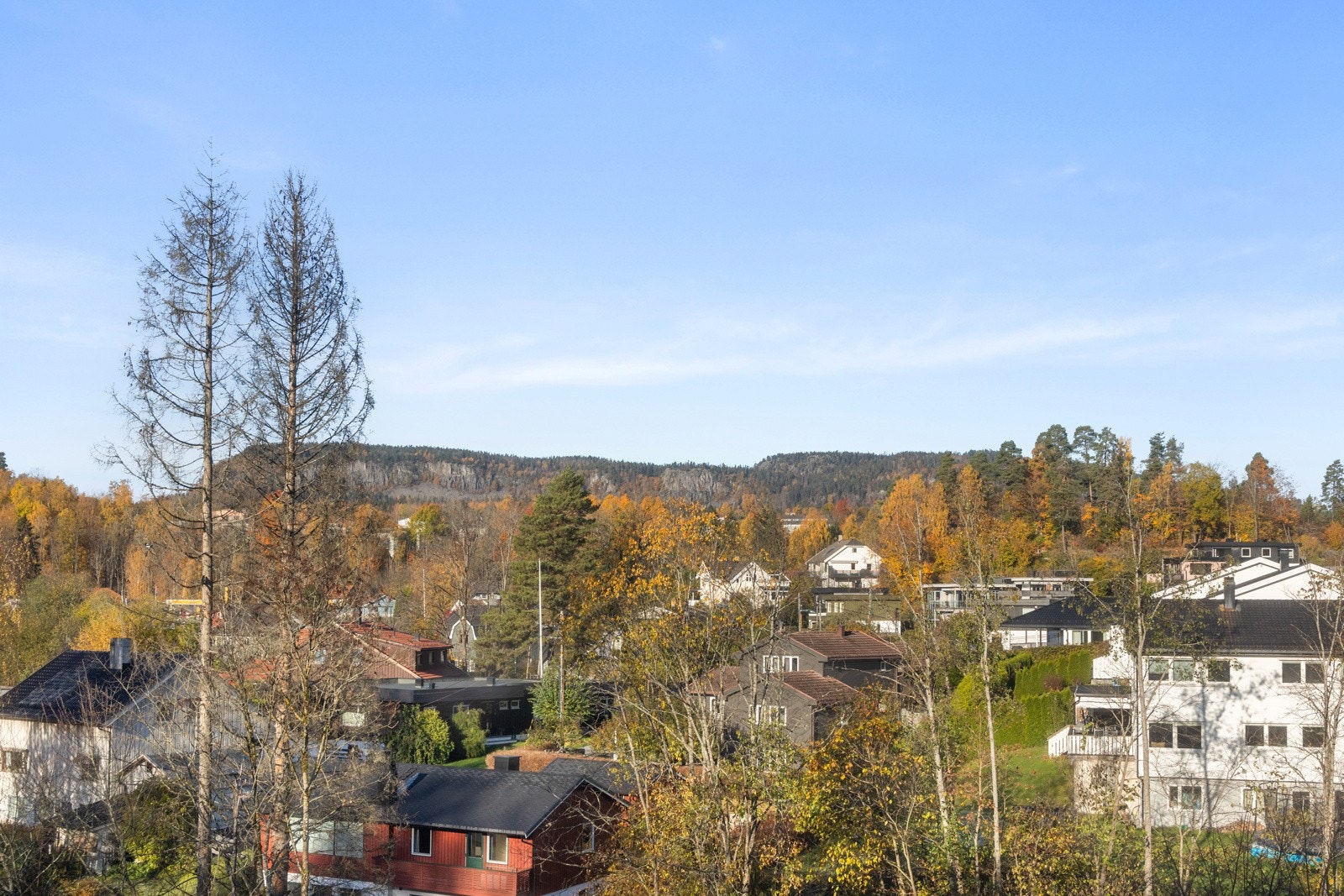 Utsikt. Galleribilde