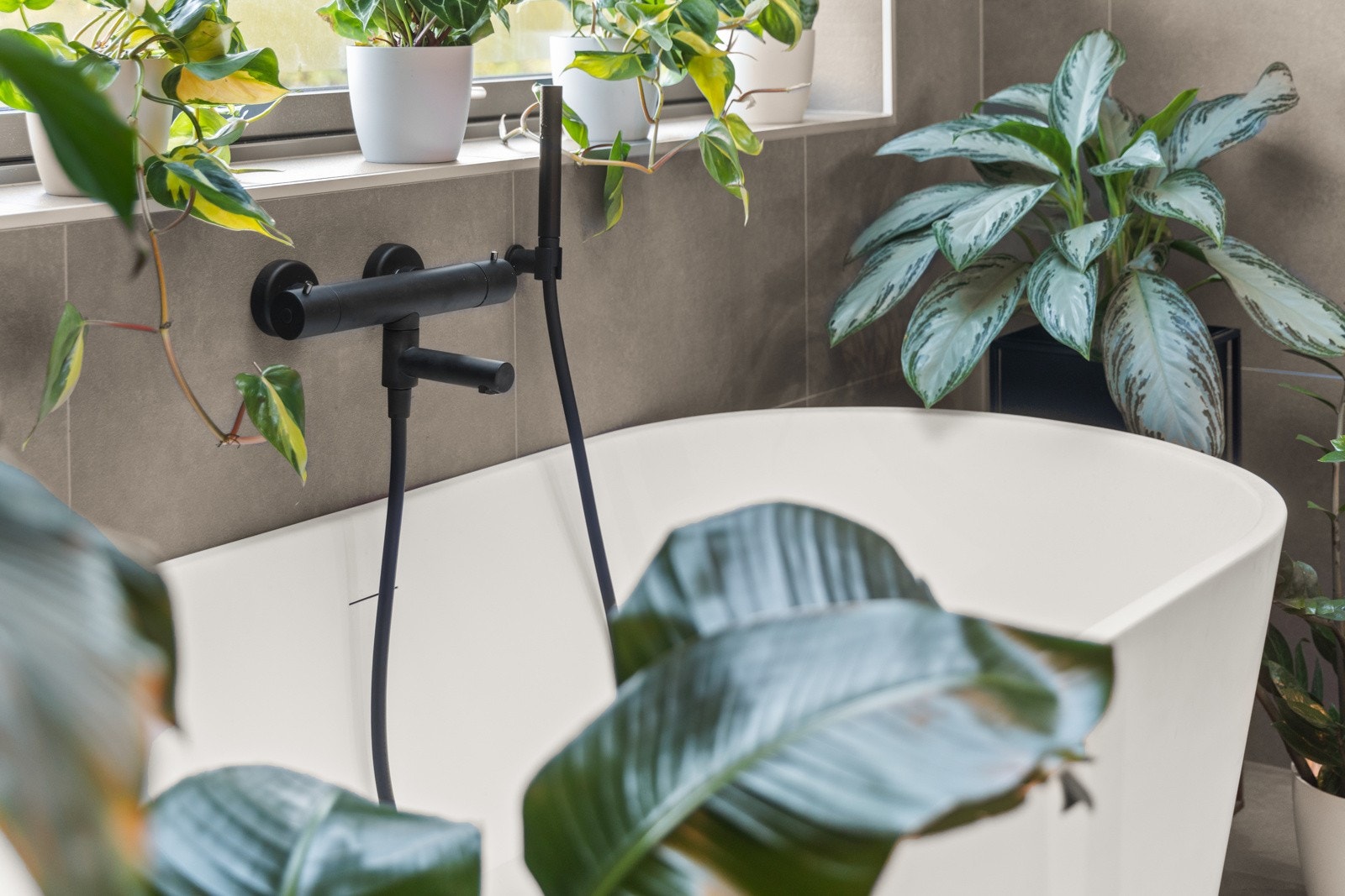 Detaljbilde. Galleribilde