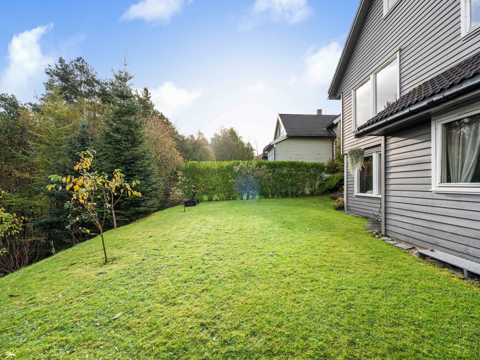 Lite/ingen innsyn i hagen Galleribilde