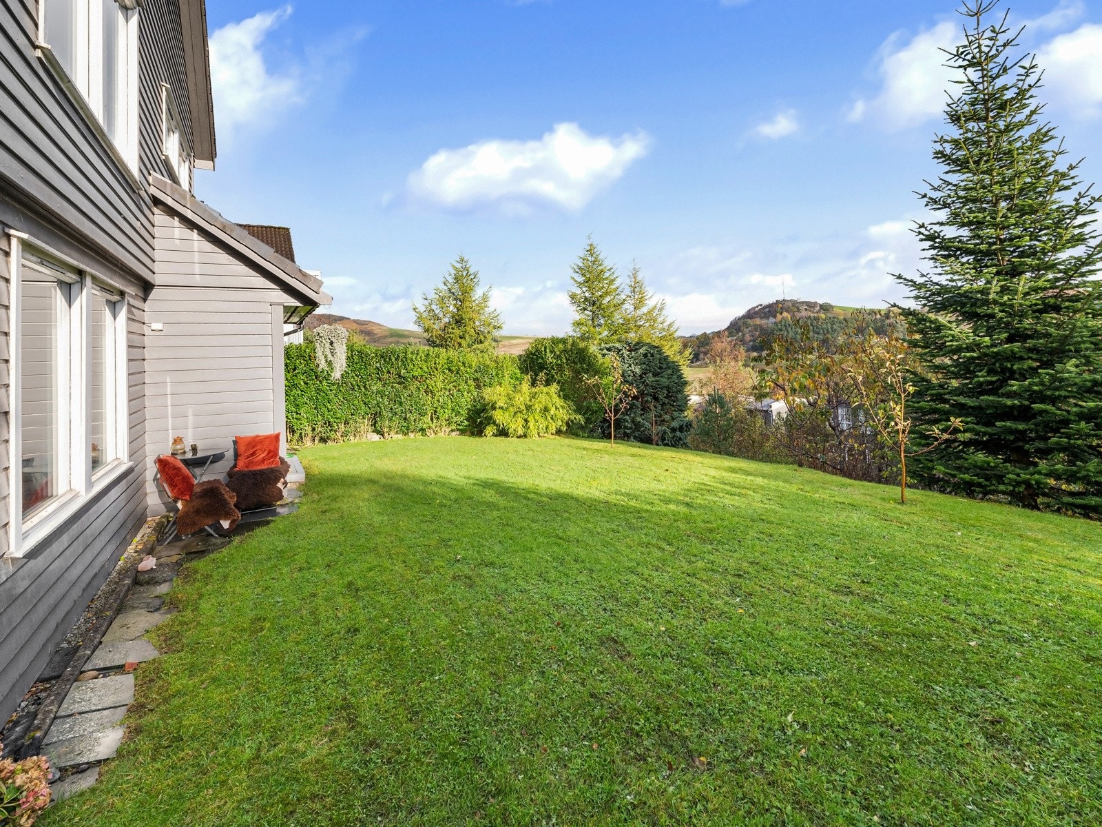 I hagen vokser det flere typer bær og frukt Galleribilde