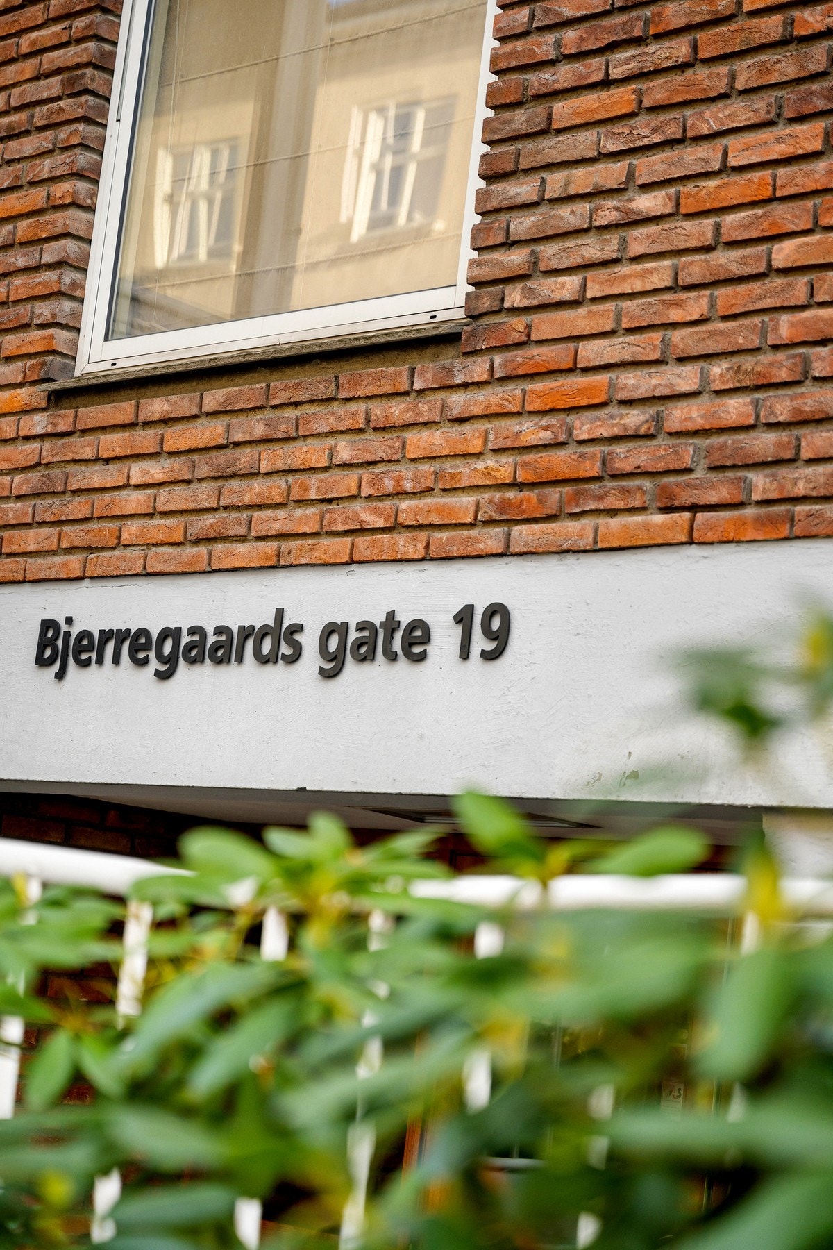 Velkommen til visning! Galleribilde