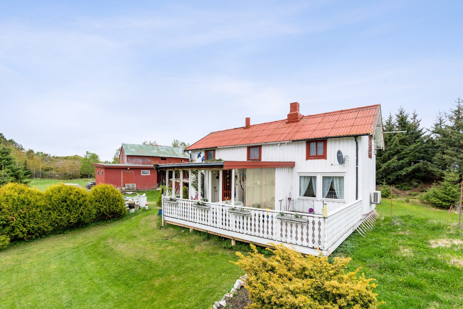 Nyt late sommerdager på eget småbruk Galleribilde