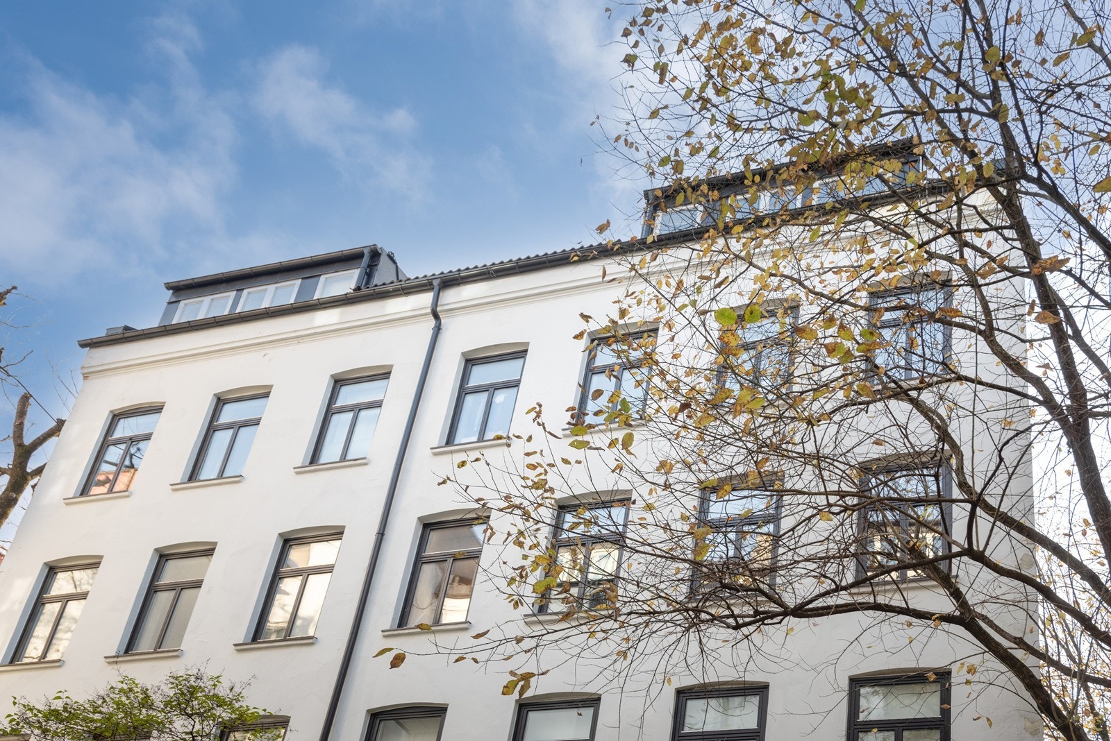 Velholdt bygg fra 1893 Galleribilde
